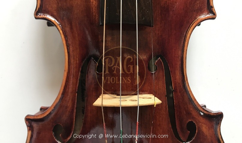 PAGVIOLIN no 134