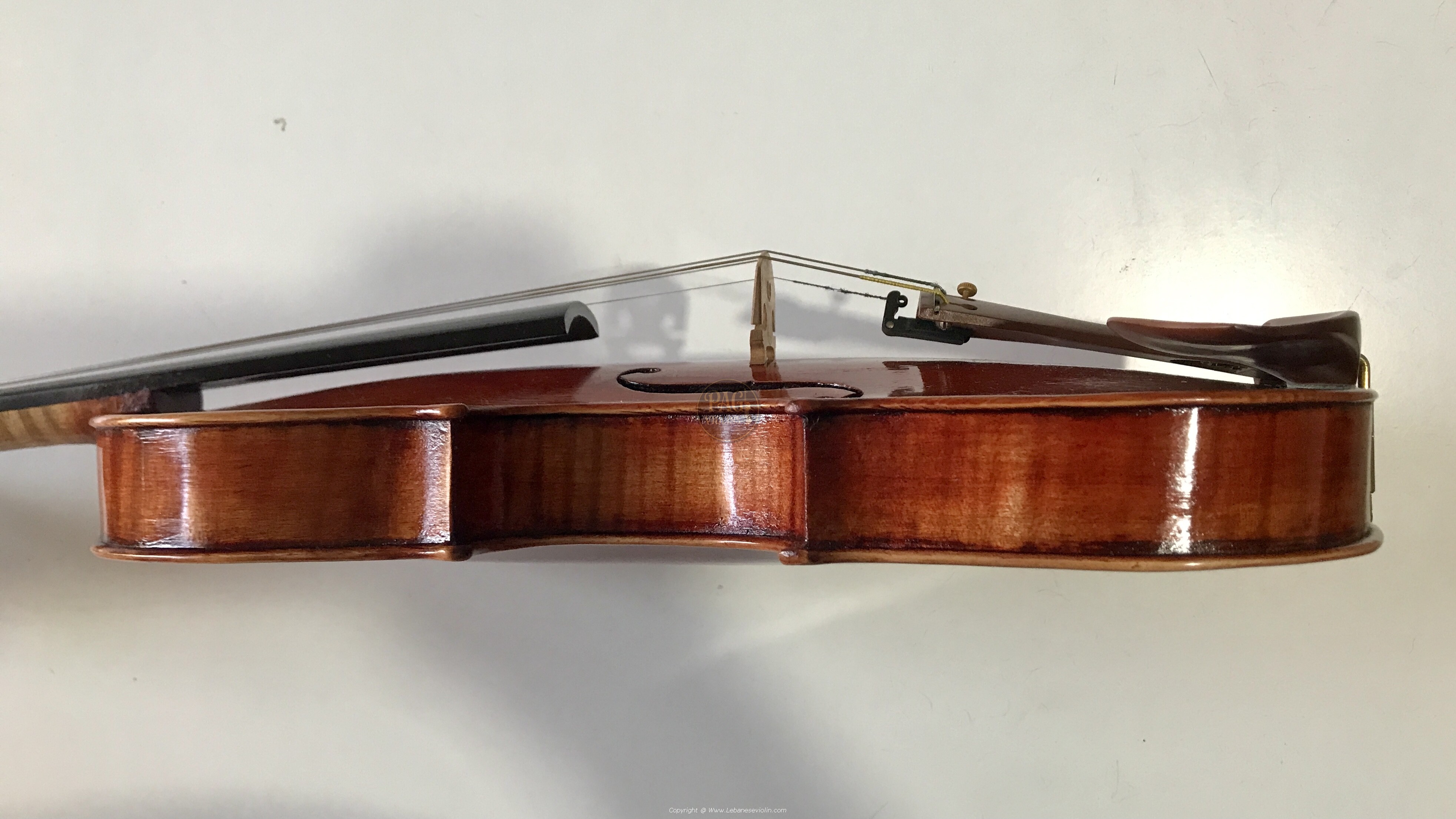 PAGVIOLIN no 151