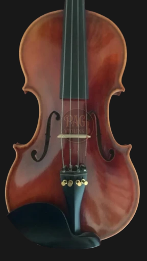PAGVIOLIN no 19