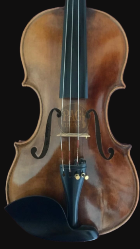 PAGVIOLIN no 129