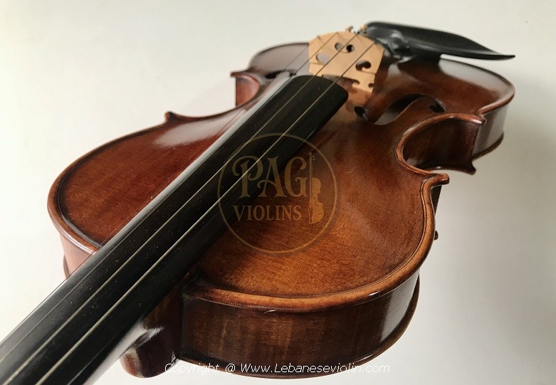 PAGVIOLIN no 117