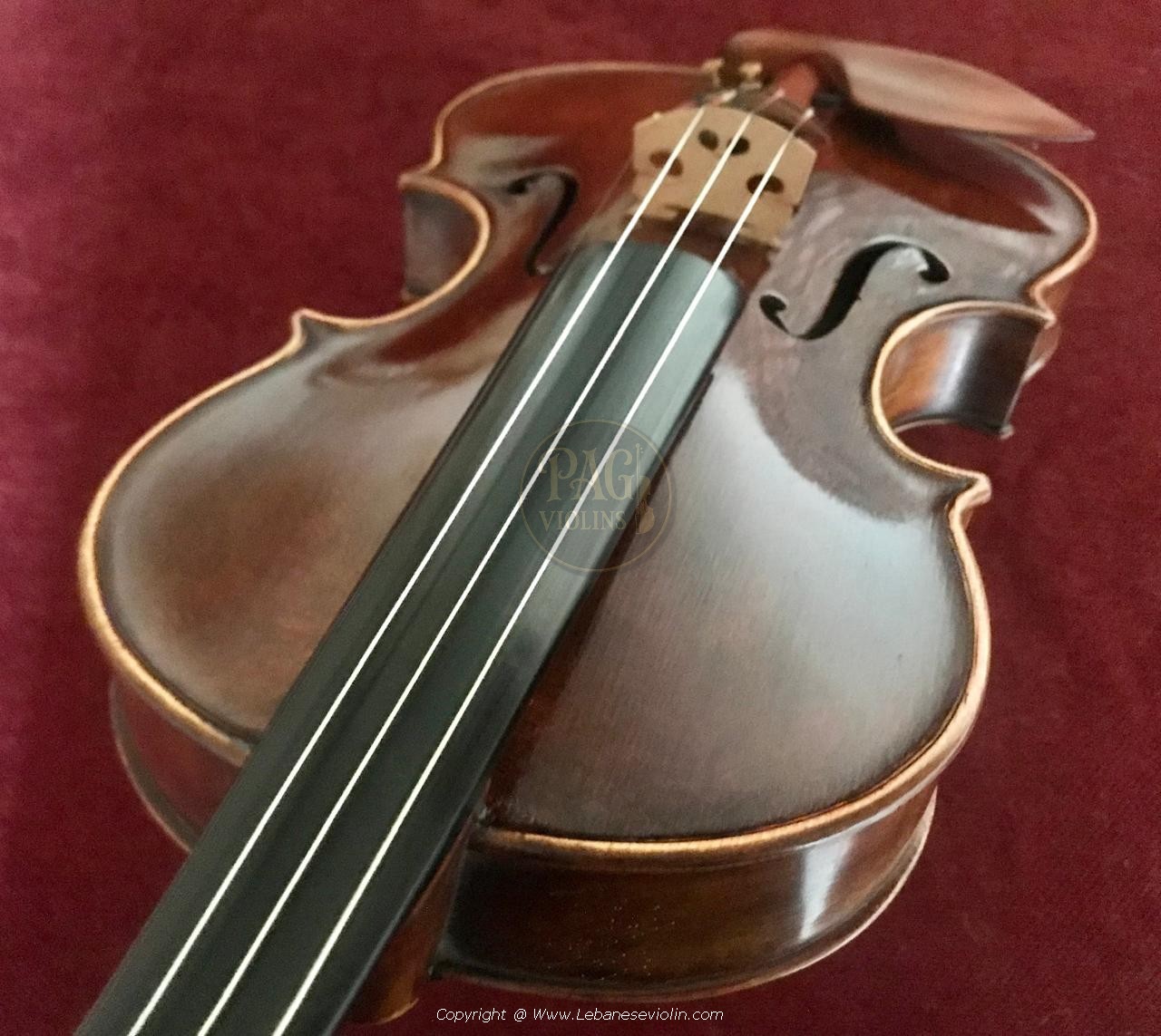 PAGVIOLIN no 64