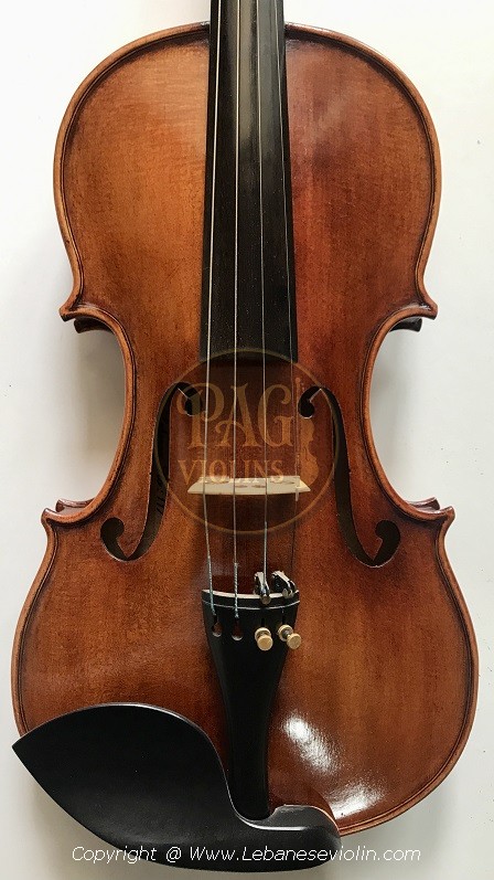 PAGVIOLIN no 117