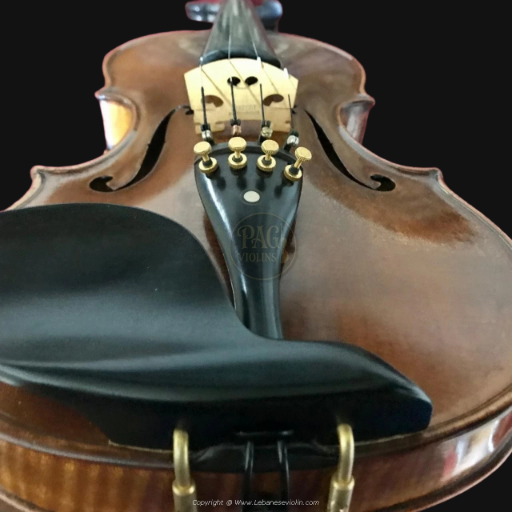 PAGVIOLIN no 138