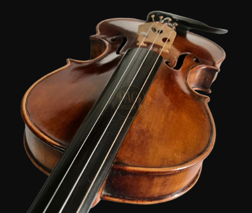 PAGVIOLIN no 135