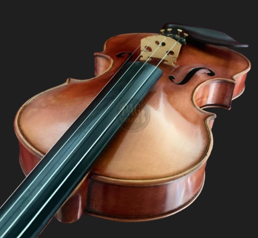 PAGVIOLIN no 71