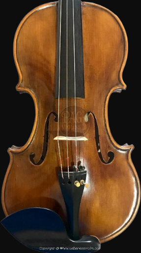 PAGVIOLIN no 48