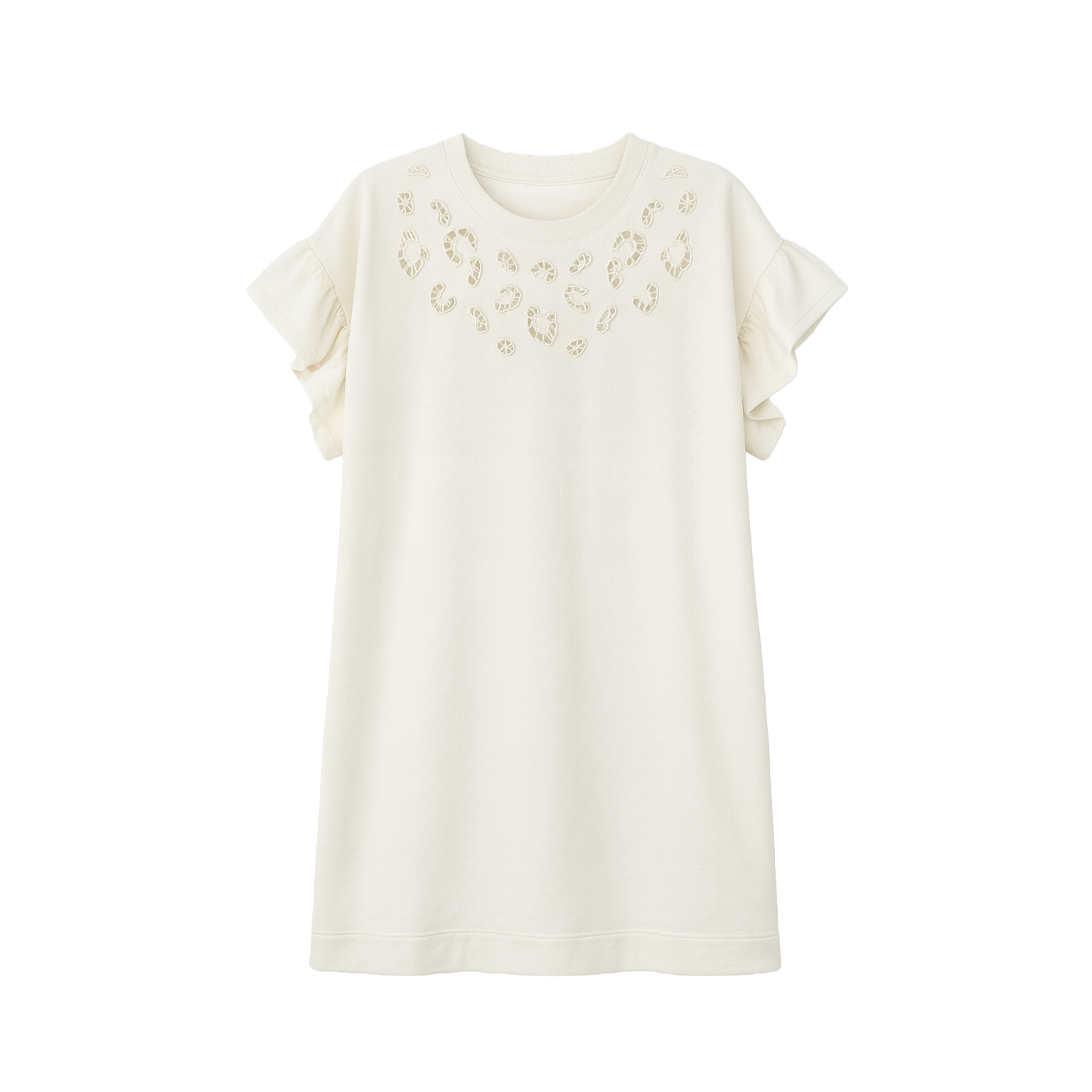 Embroidered Ruffle Sleeve Dress