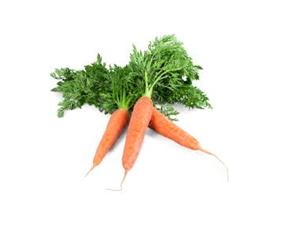 Gajar (Carrot)