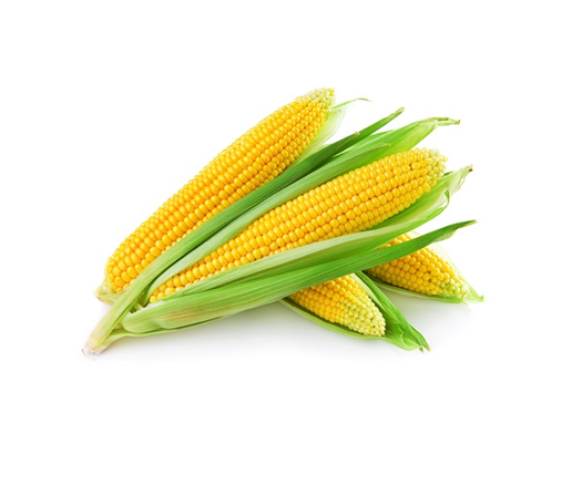 Makai (Corn / Maize)