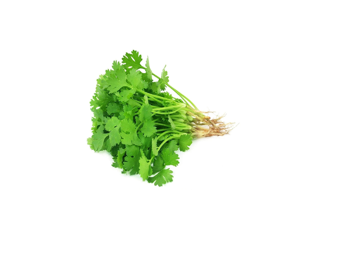 Dhaniya Patta (Coriander Leaves) 500 Grm