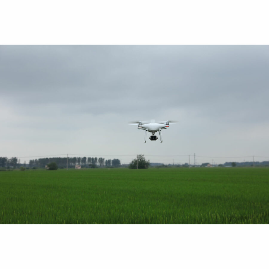 DJI P4 Multispectral Drone