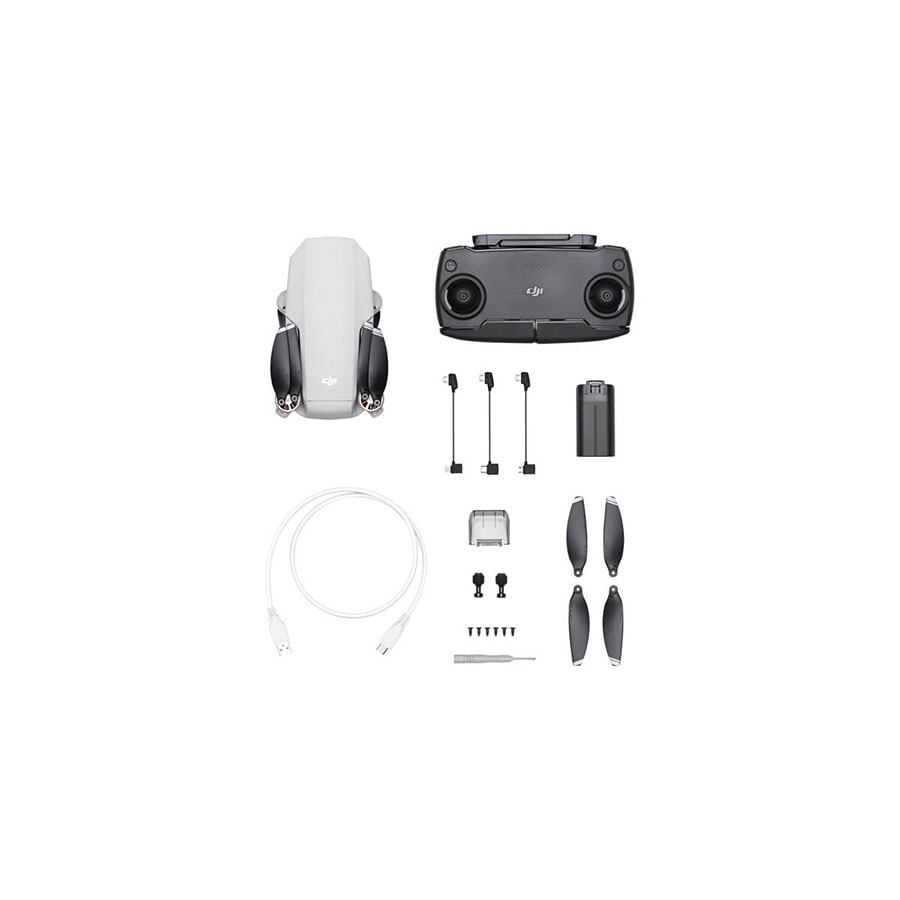 DJI Mavic Mini Standard