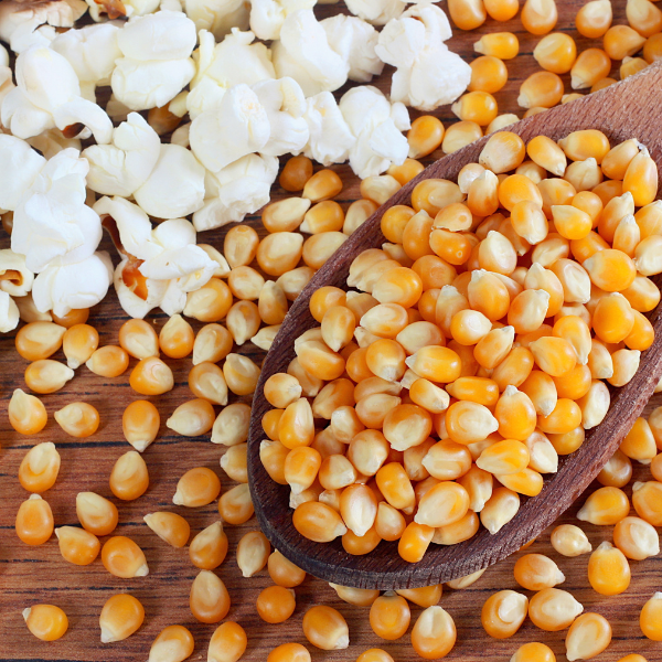 Milho para Pipoca
