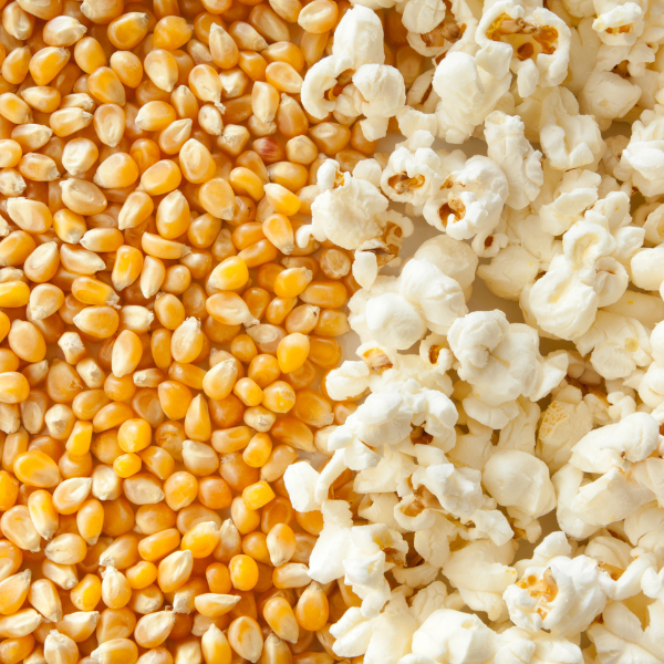 Milho para Pipoca