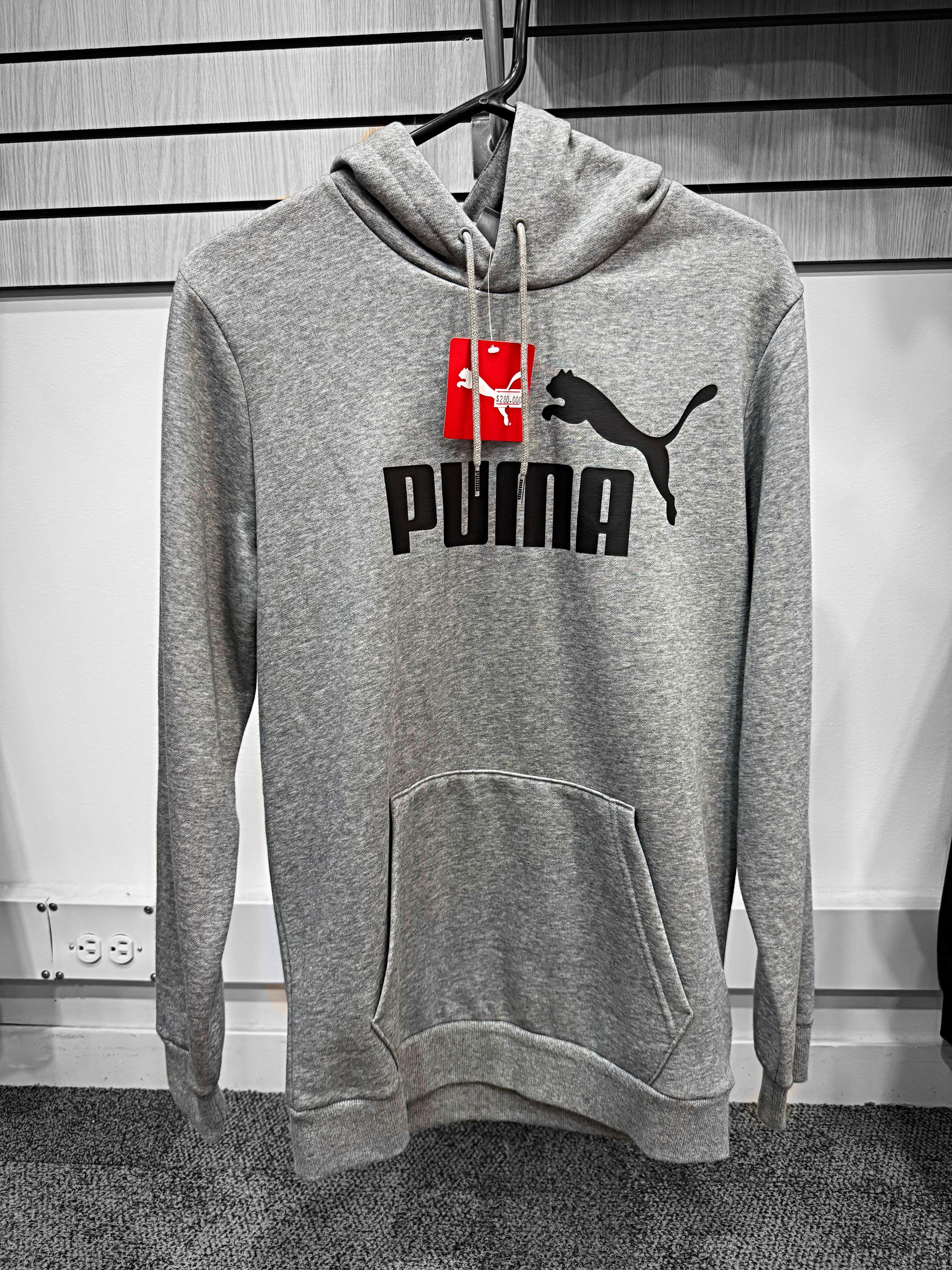 Puma Hoodie Gris