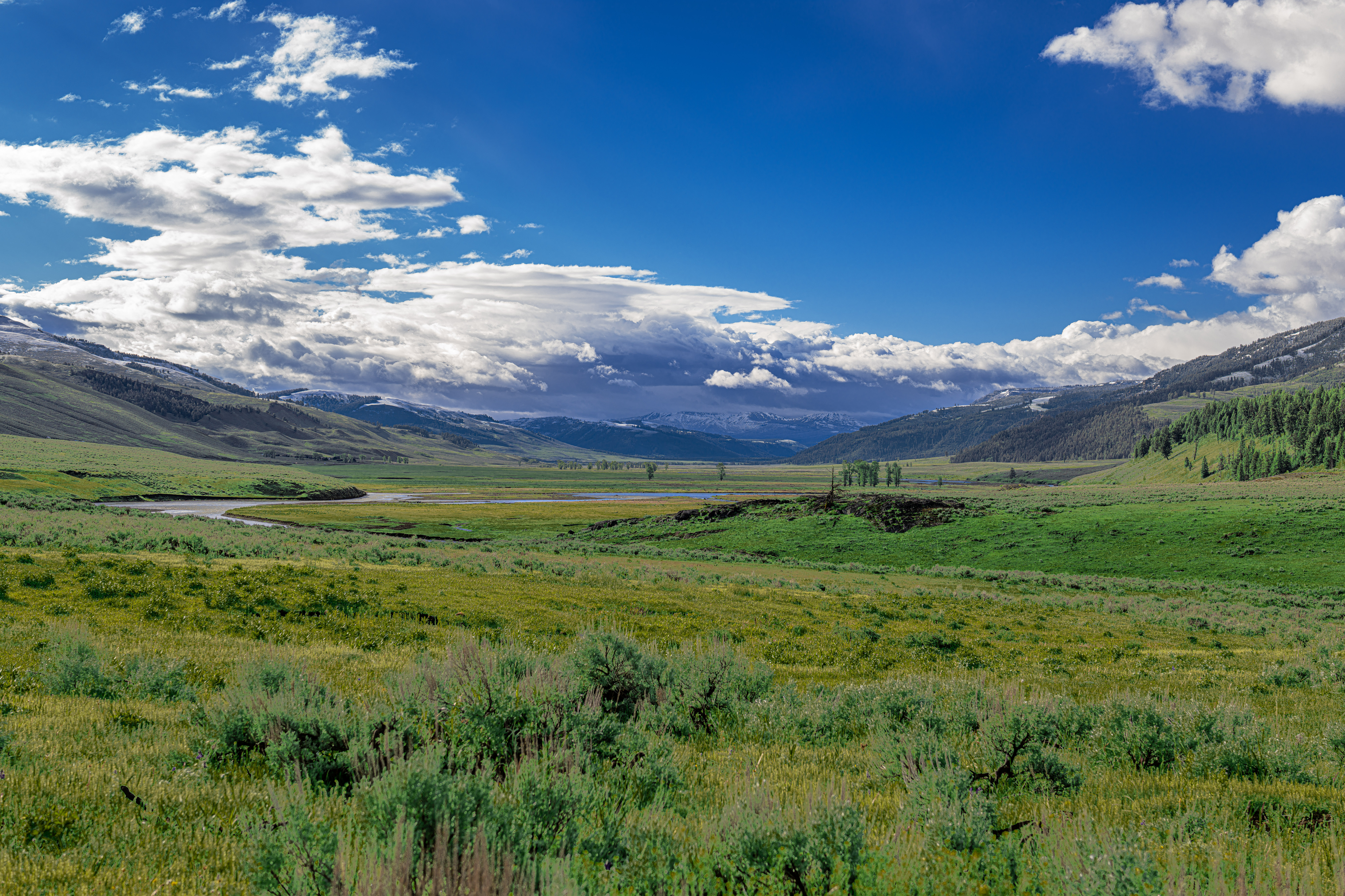 Lamar Valley Digital Print