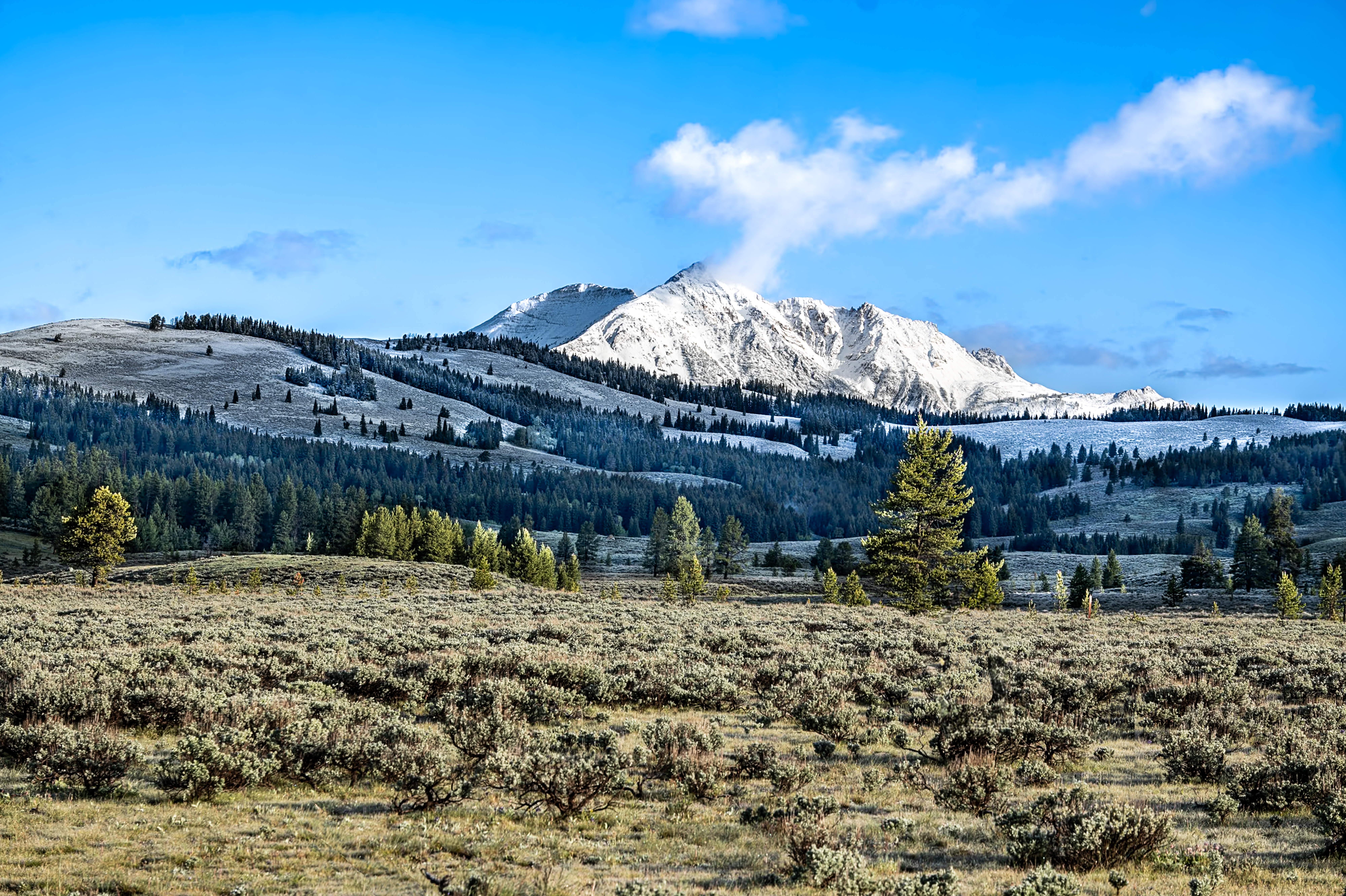 Mountain Serenity Digital Print