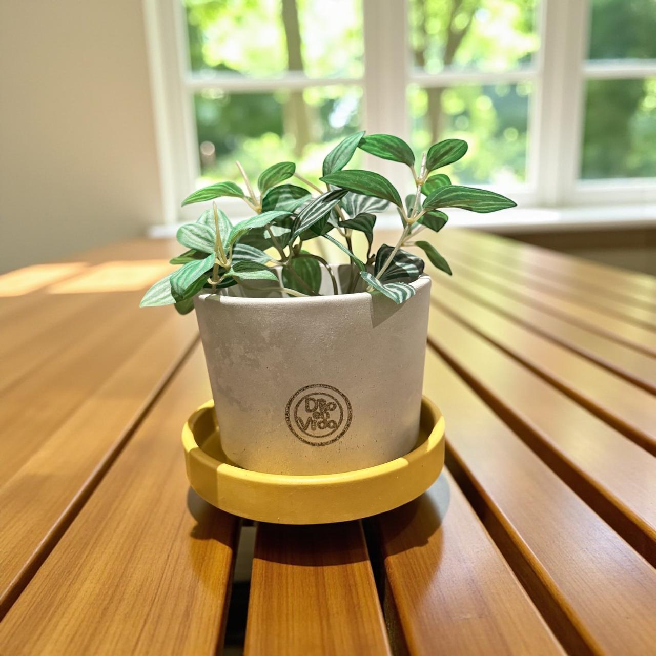 Maceta cónica pequeña (no incluye el plato)