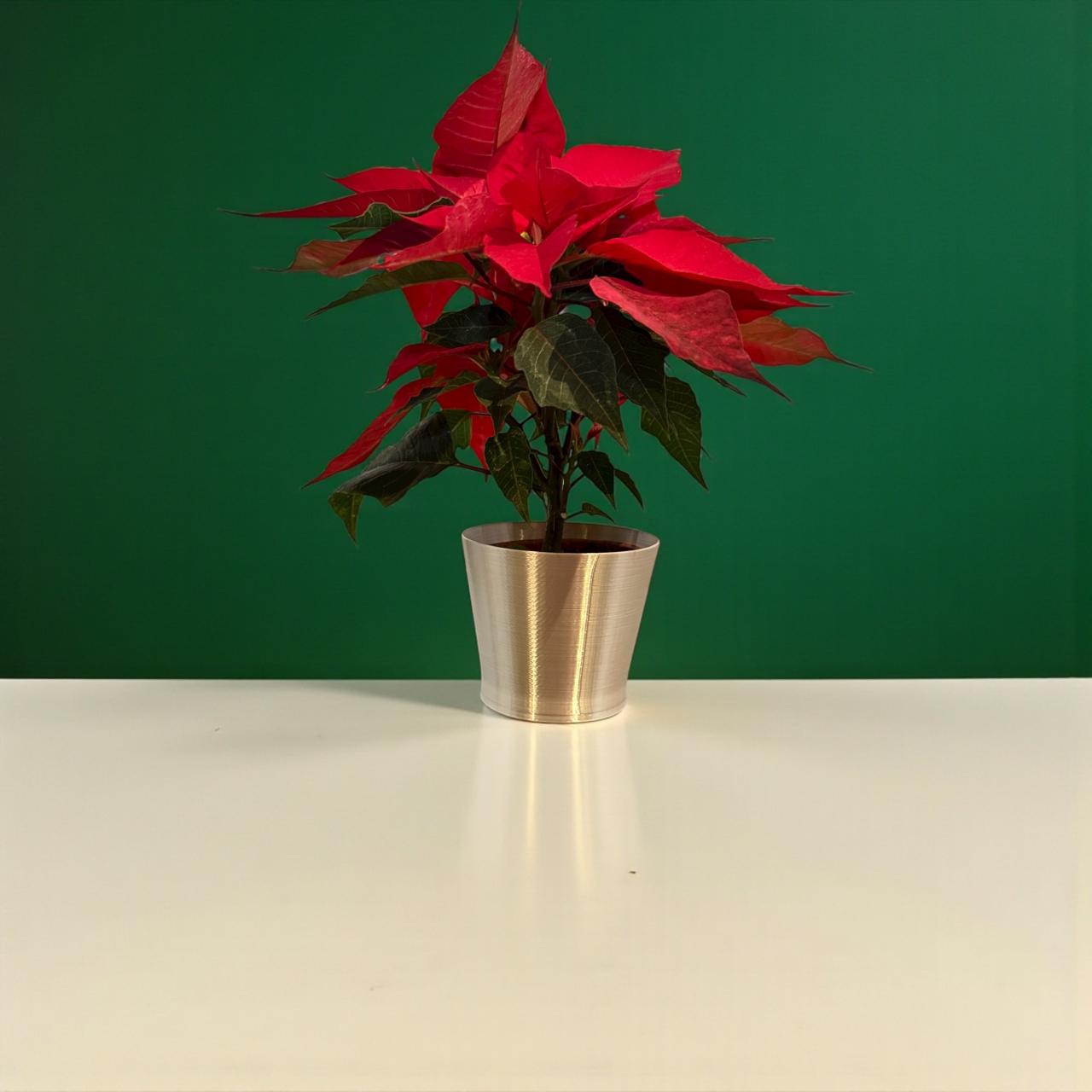 Maceta navideña chica