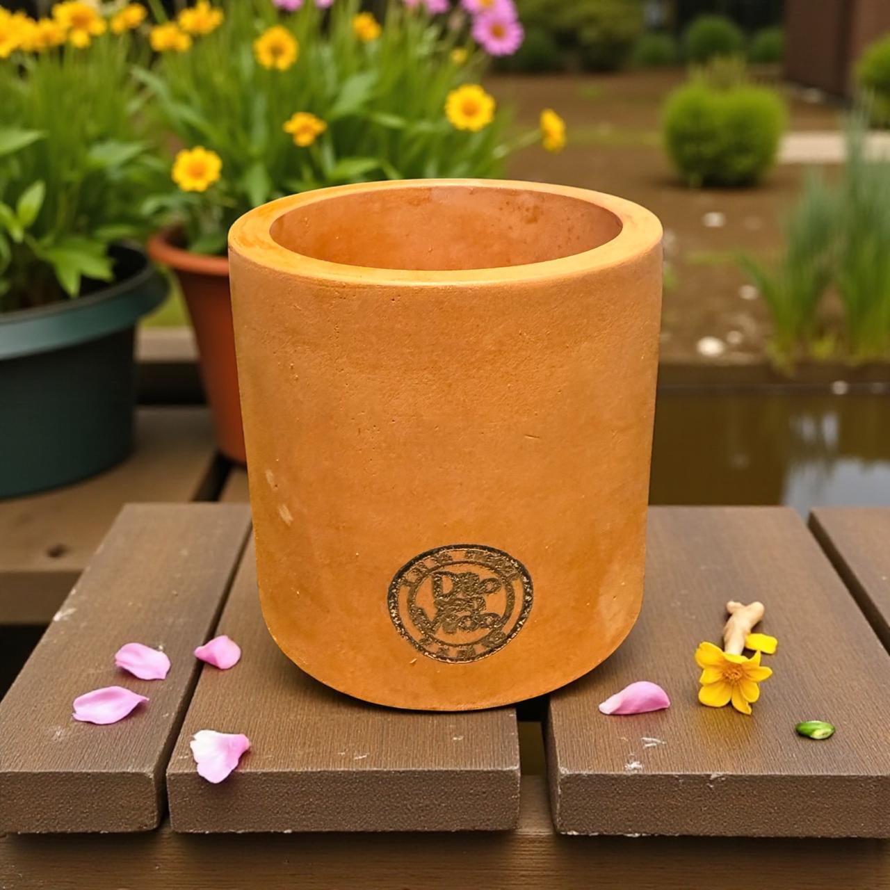 Maceta cilíndrica pequeña (no incluye el plato)