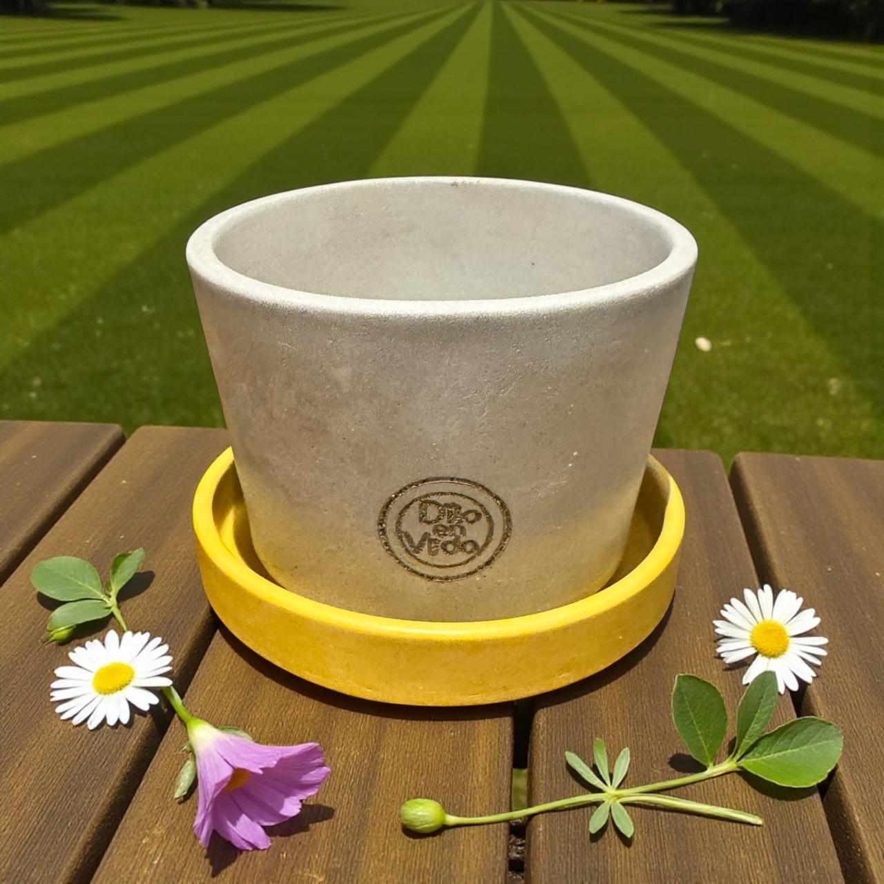 Maceta cónica pequeña (no incluye el plato)