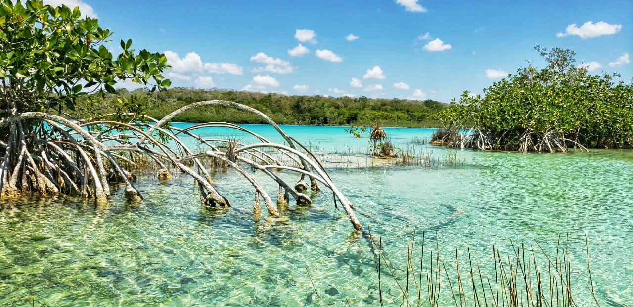 BACALAR, SELVA Y KAYAK