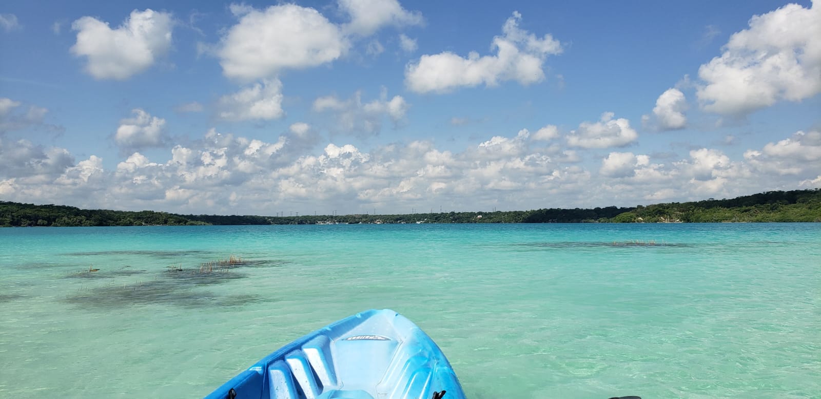 BACALAR, SELVA Y KAYAK