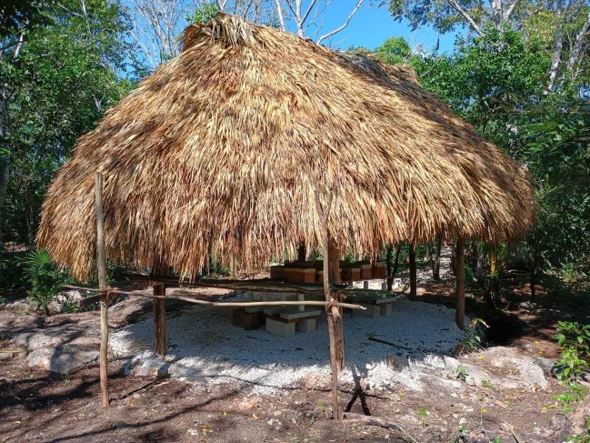 PUEBLO Y ABEJAS MAYAS