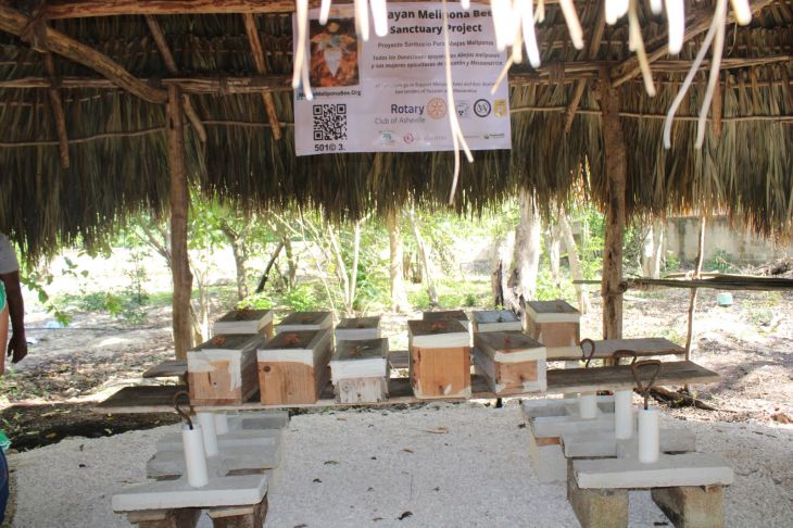 PUEBLO Y ABEJAS MAYAS