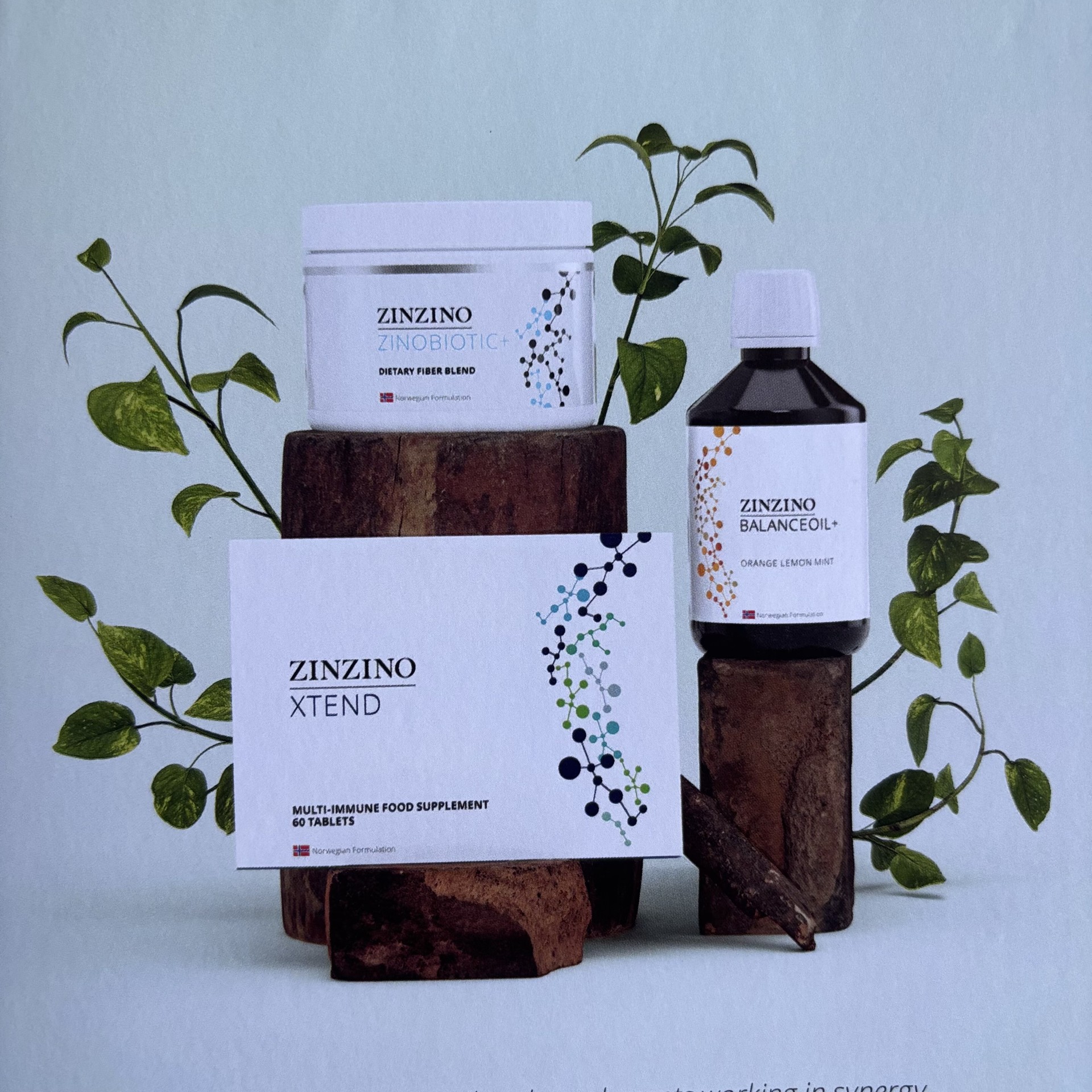 Zinzino Health Supplement Set