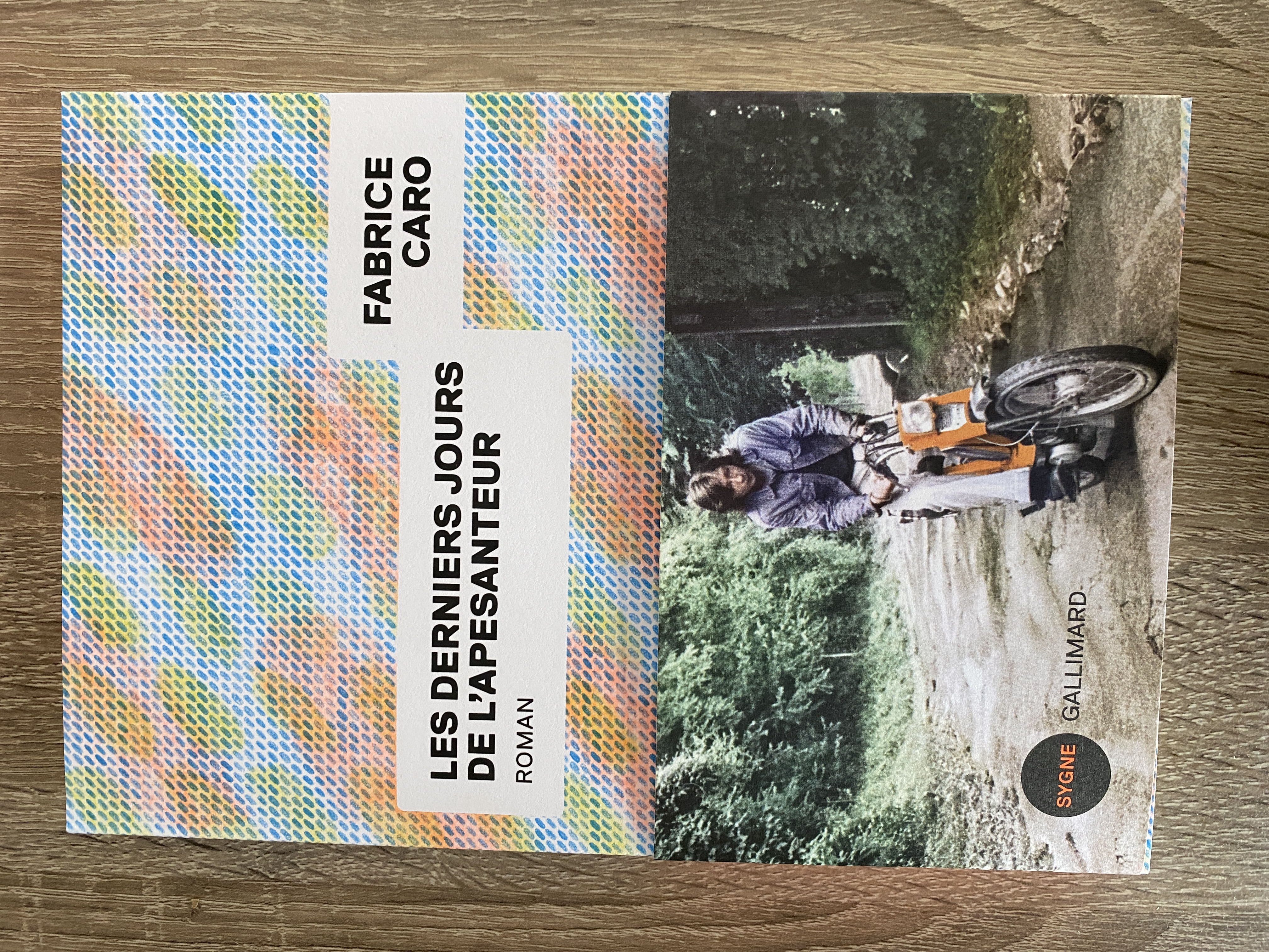 Les Derniers Jours de l’Apesanteur