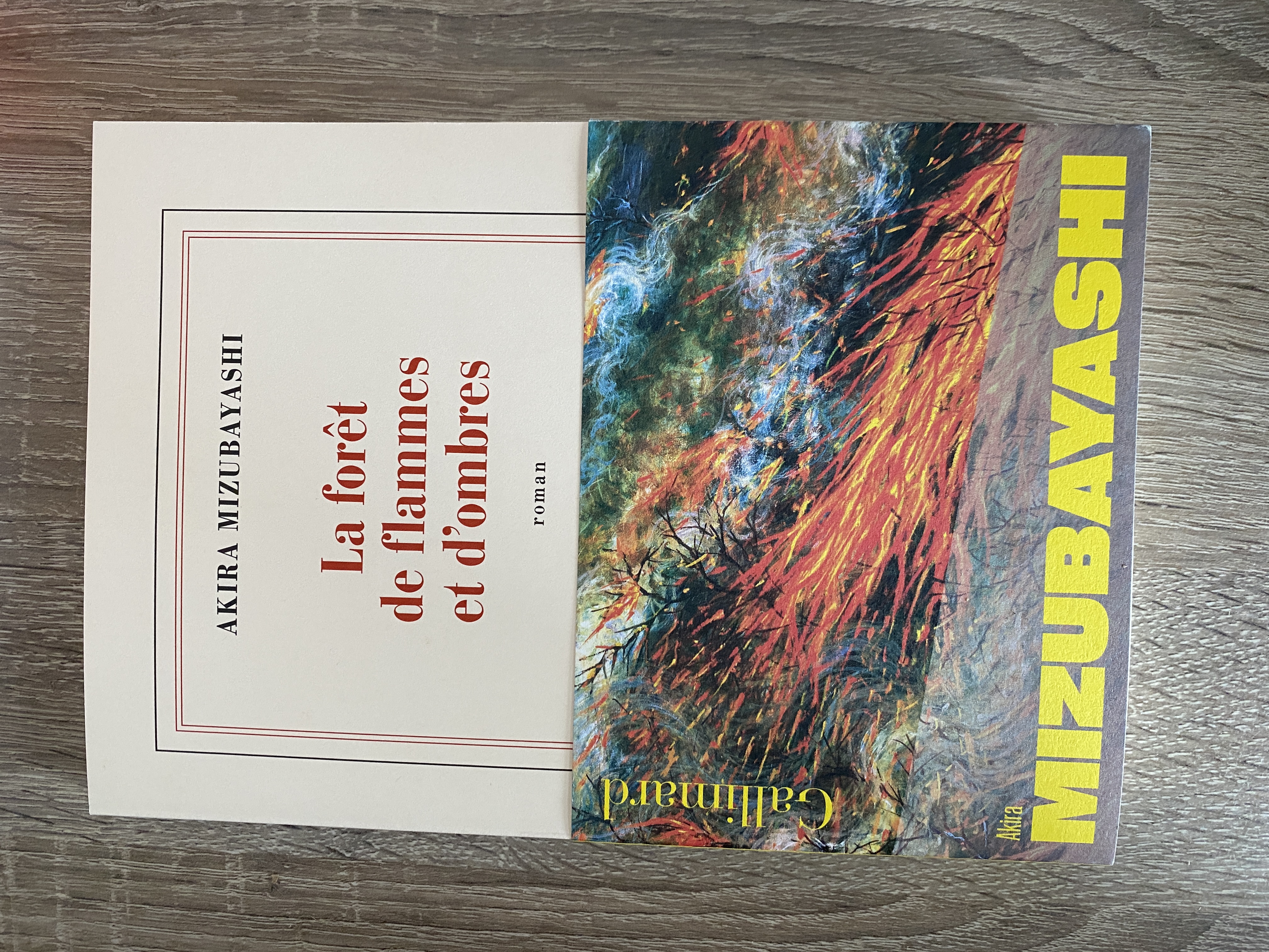 La forêt de flammes et d’ombres