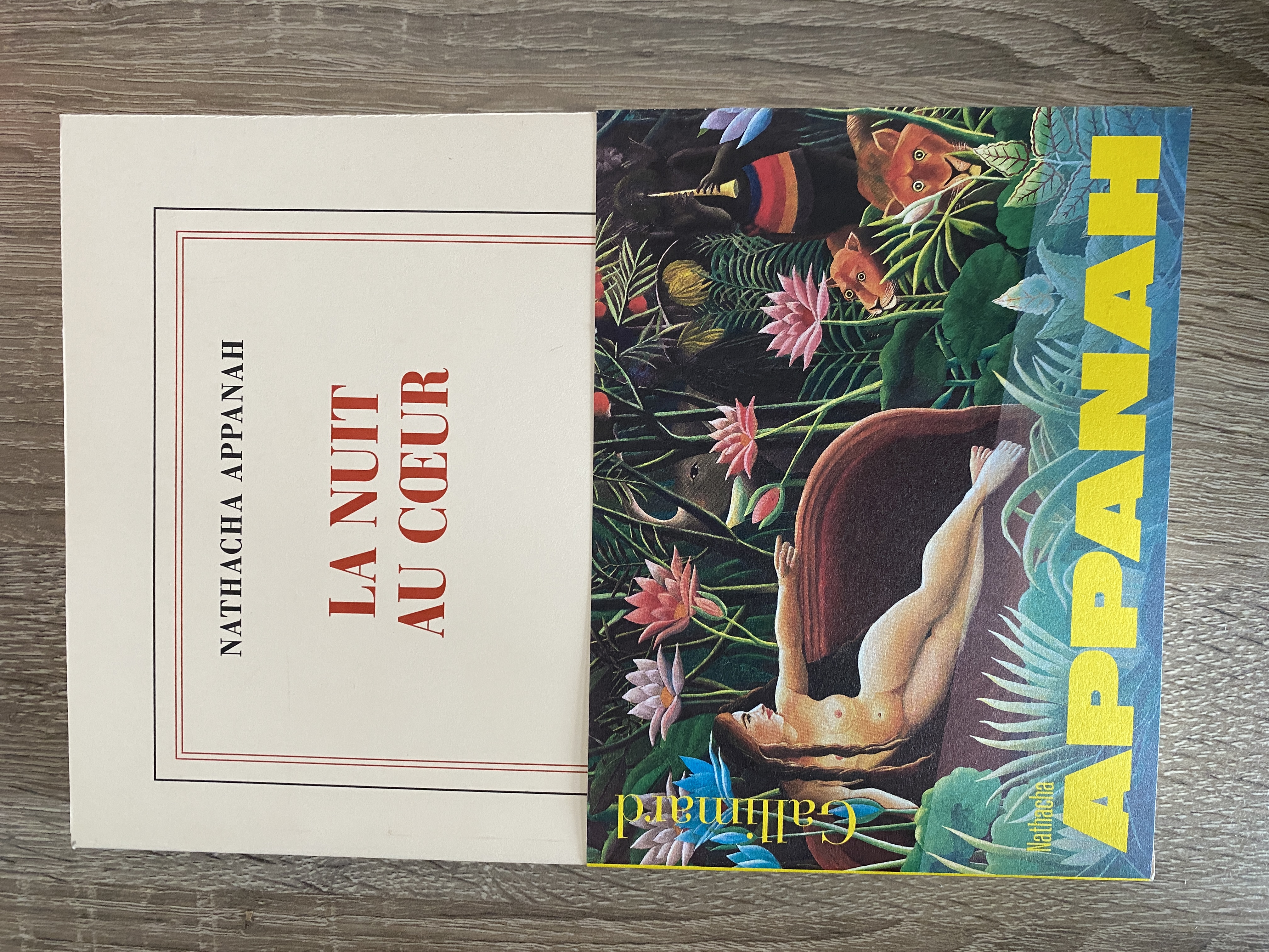 La Nuit au Coeur de Nathacha Appanah