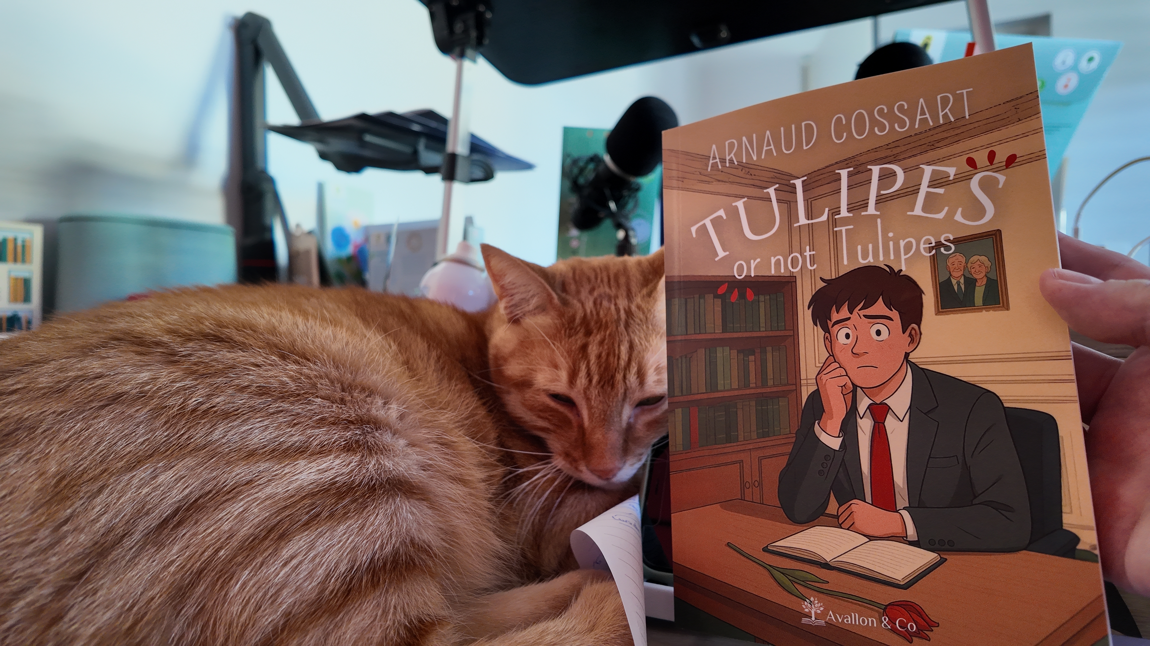 TULIPES or not tulipes