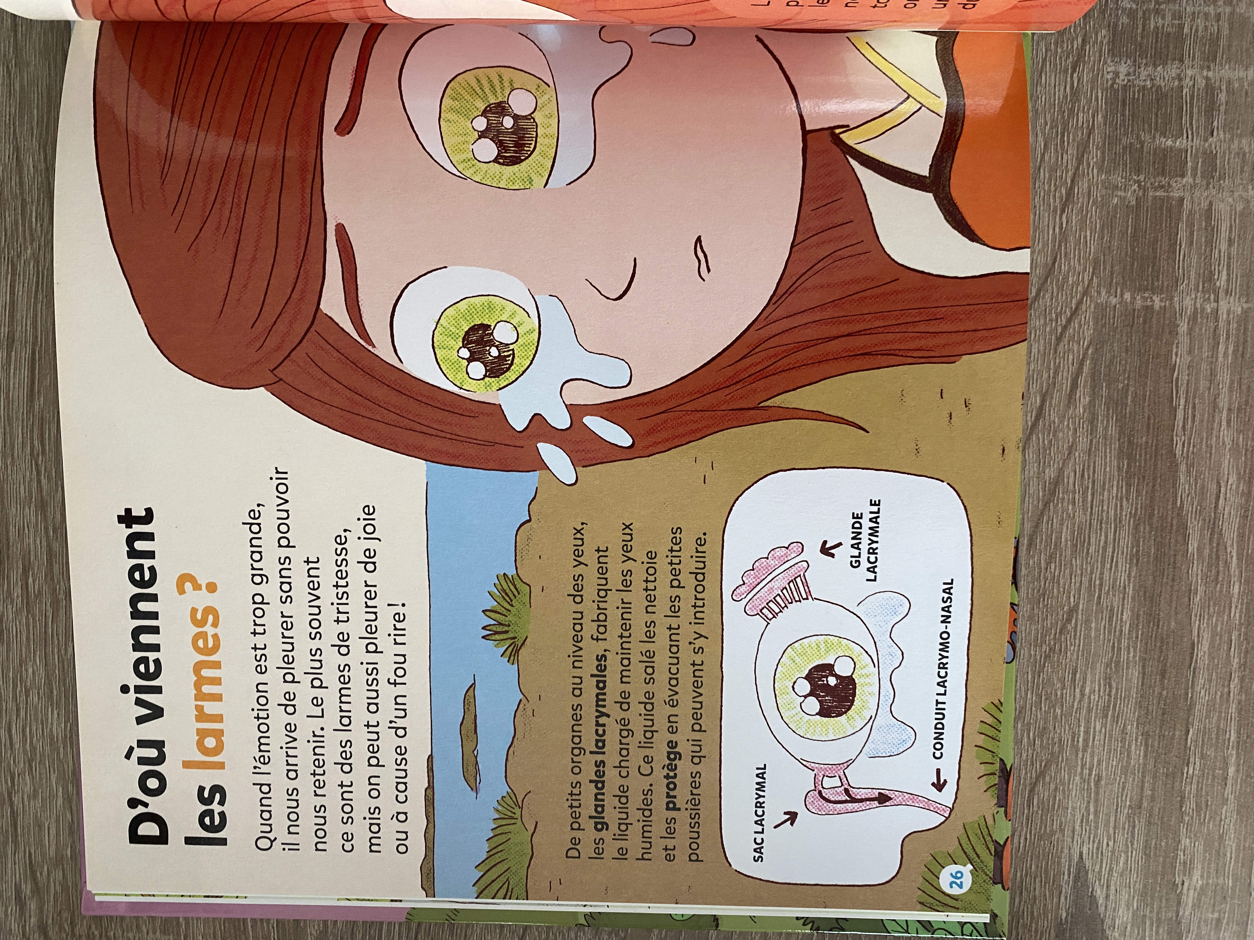 (Occasion) Les émotions