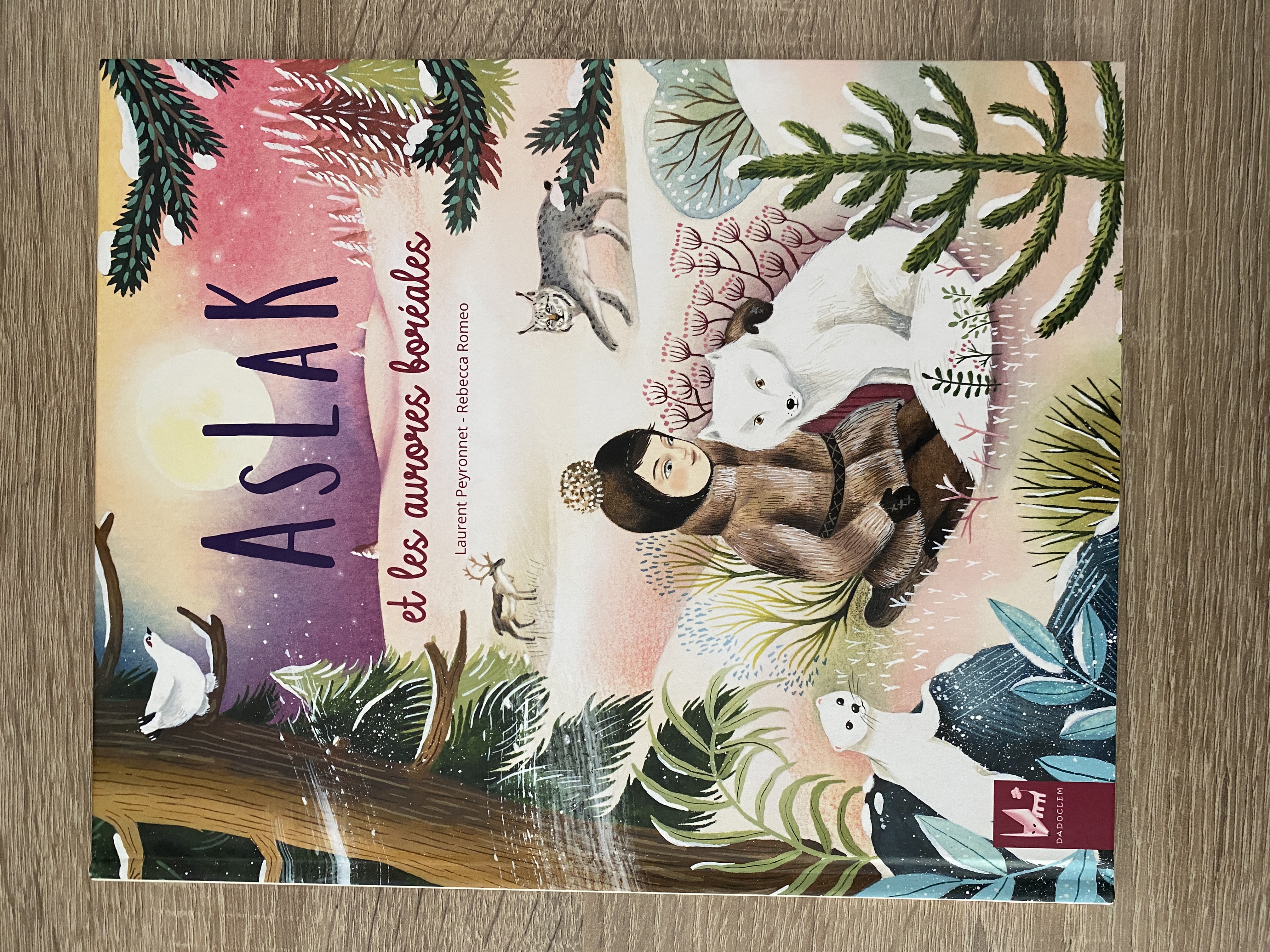 Aslak et les aurores boréales