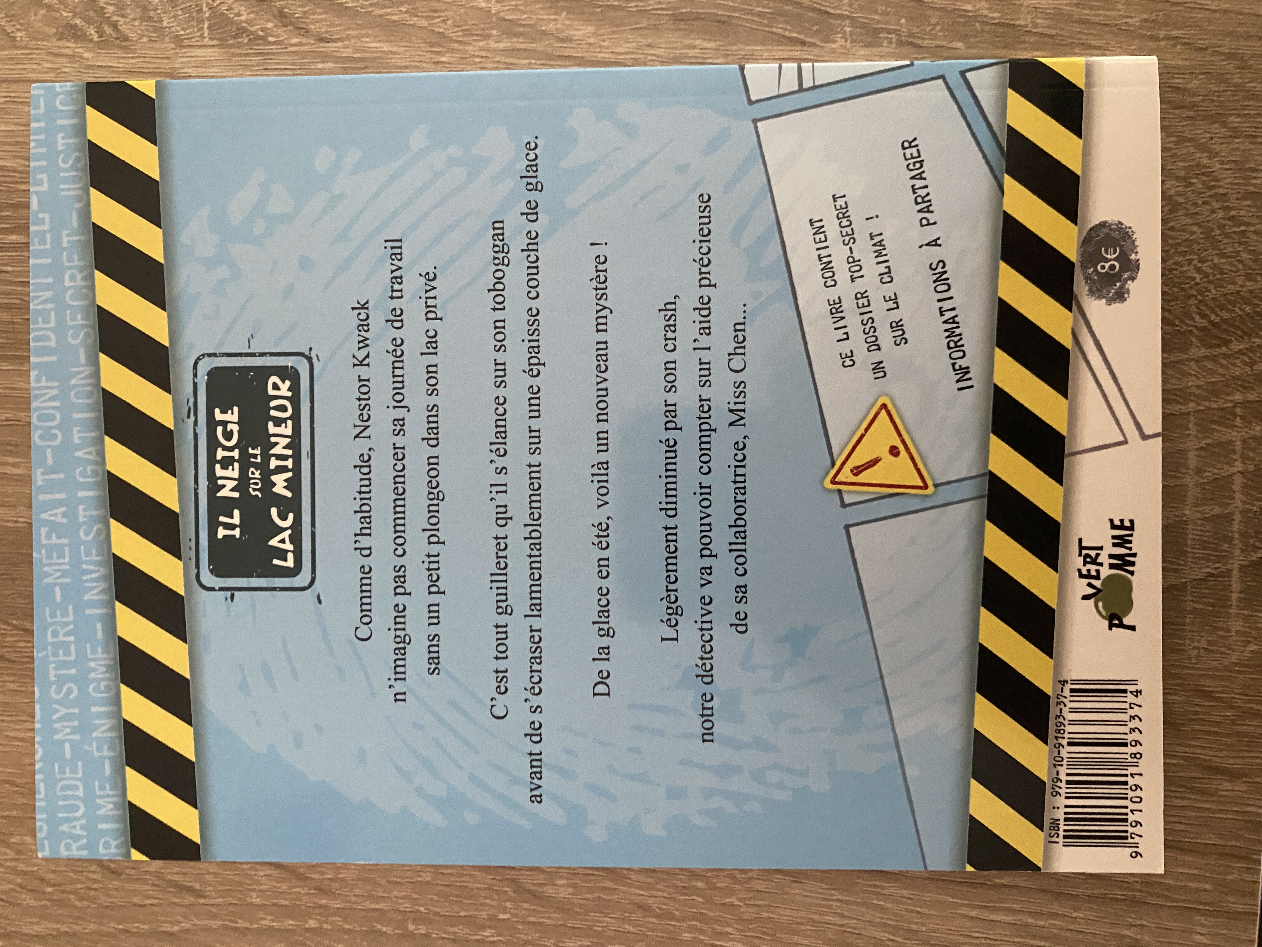 Il neige sur le lac mineur