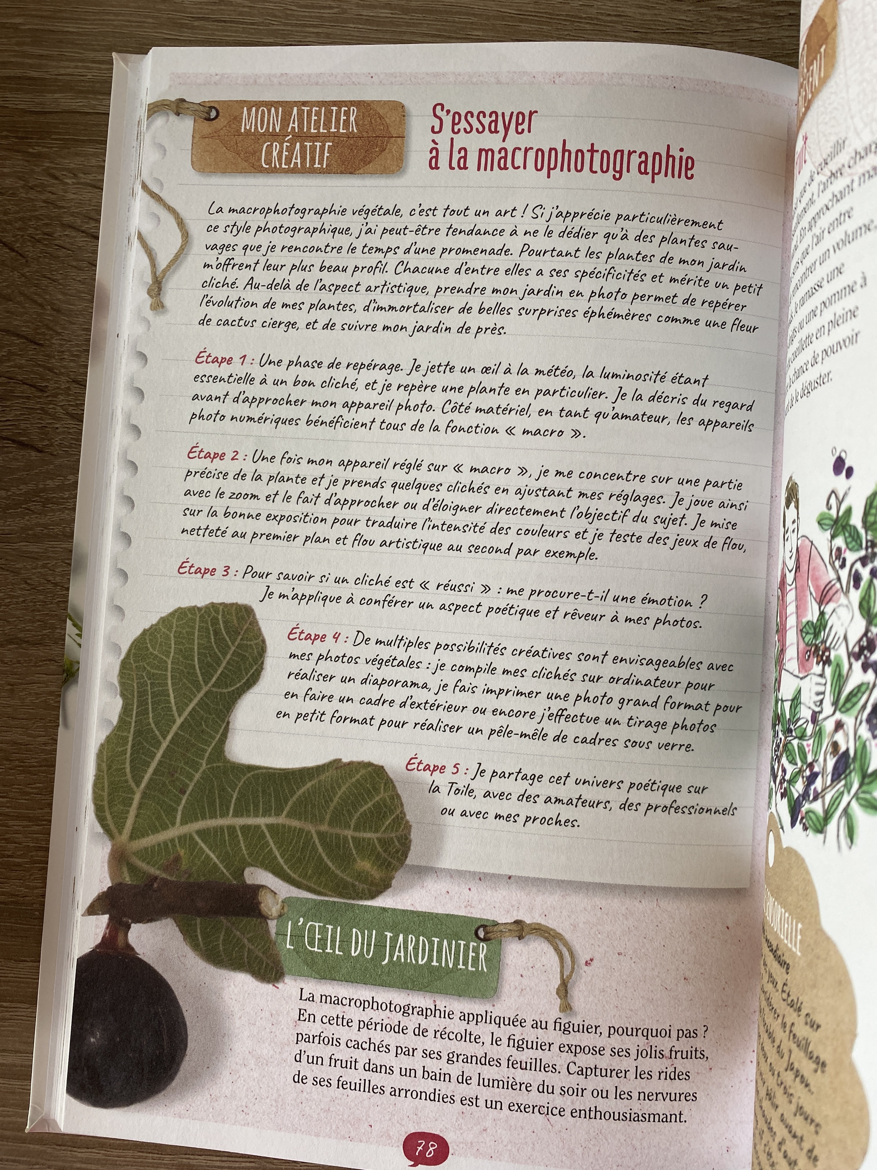 (Occasion) Cultiver son jardin en pleine conscience