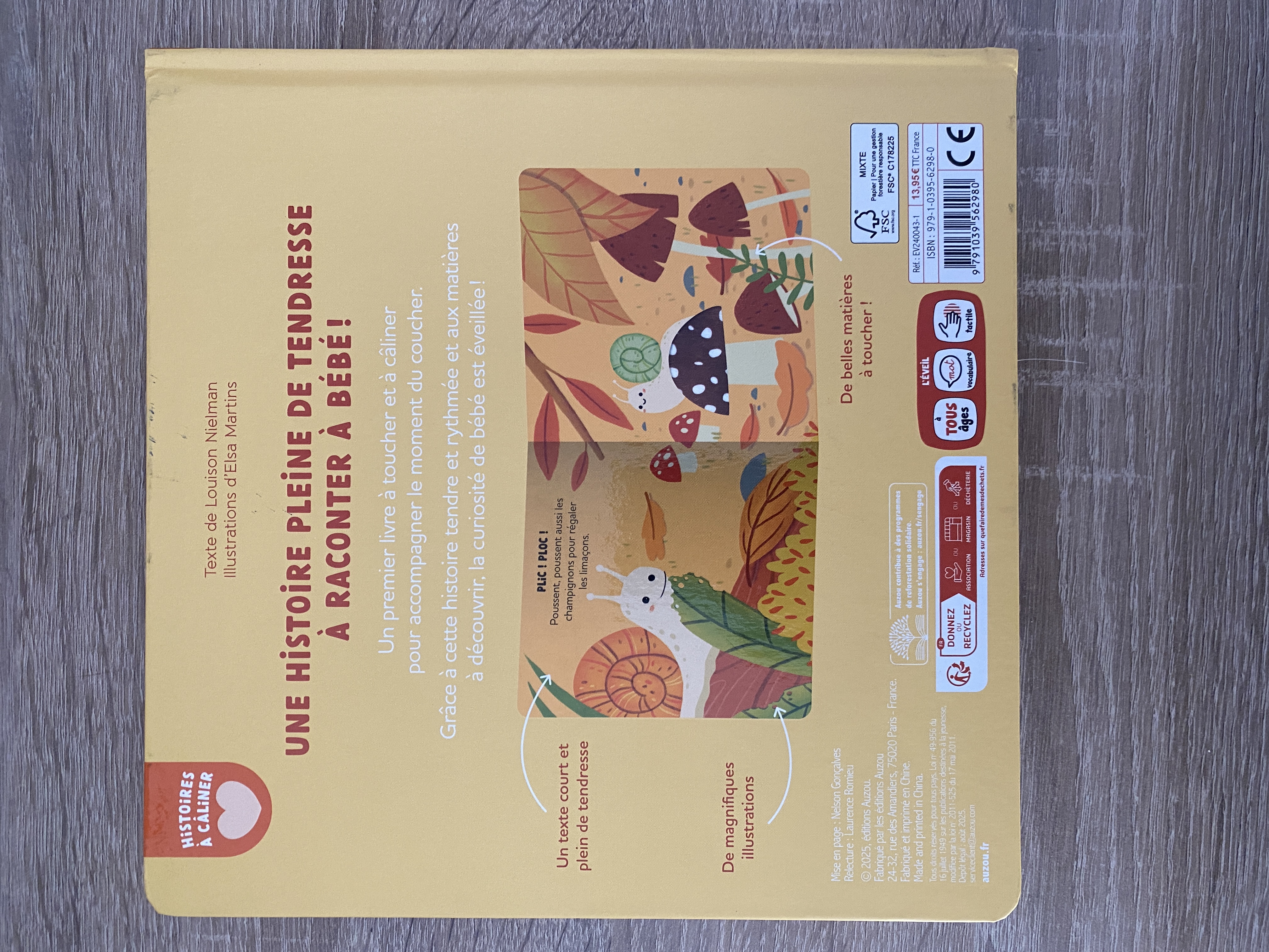 Au coeur de la forêt