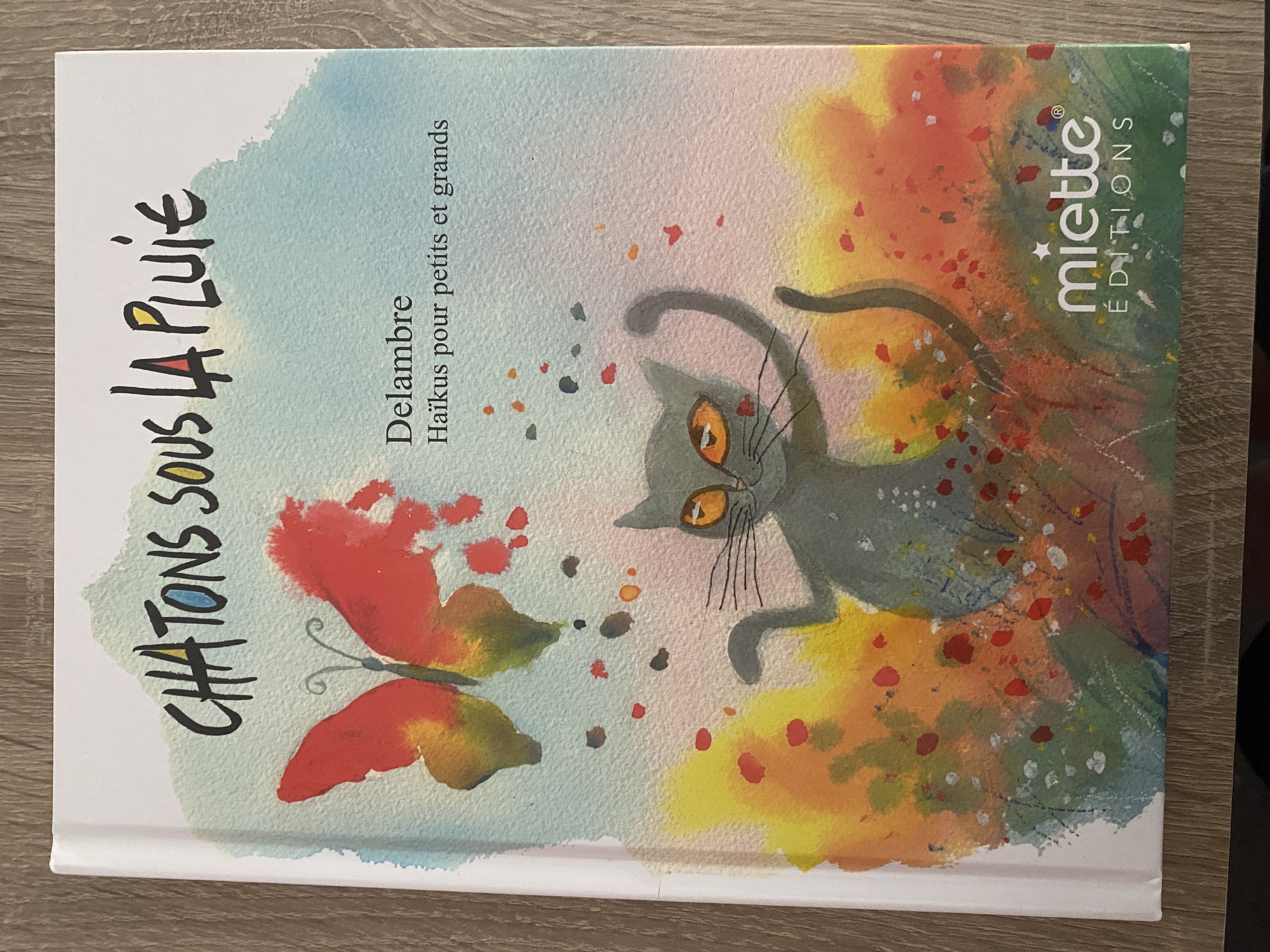 Chatons sous la pluie