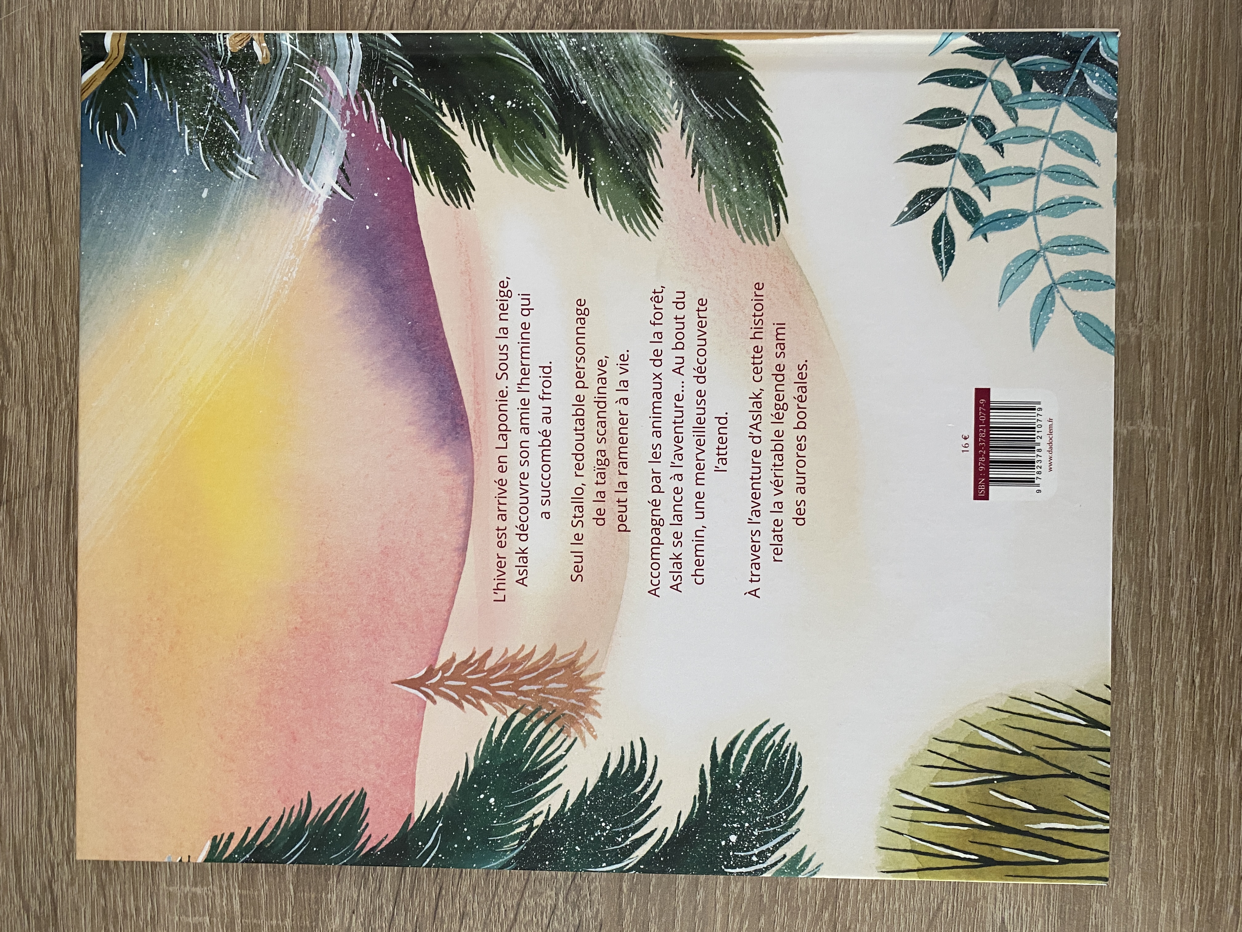 Aslak et les aurores boréales