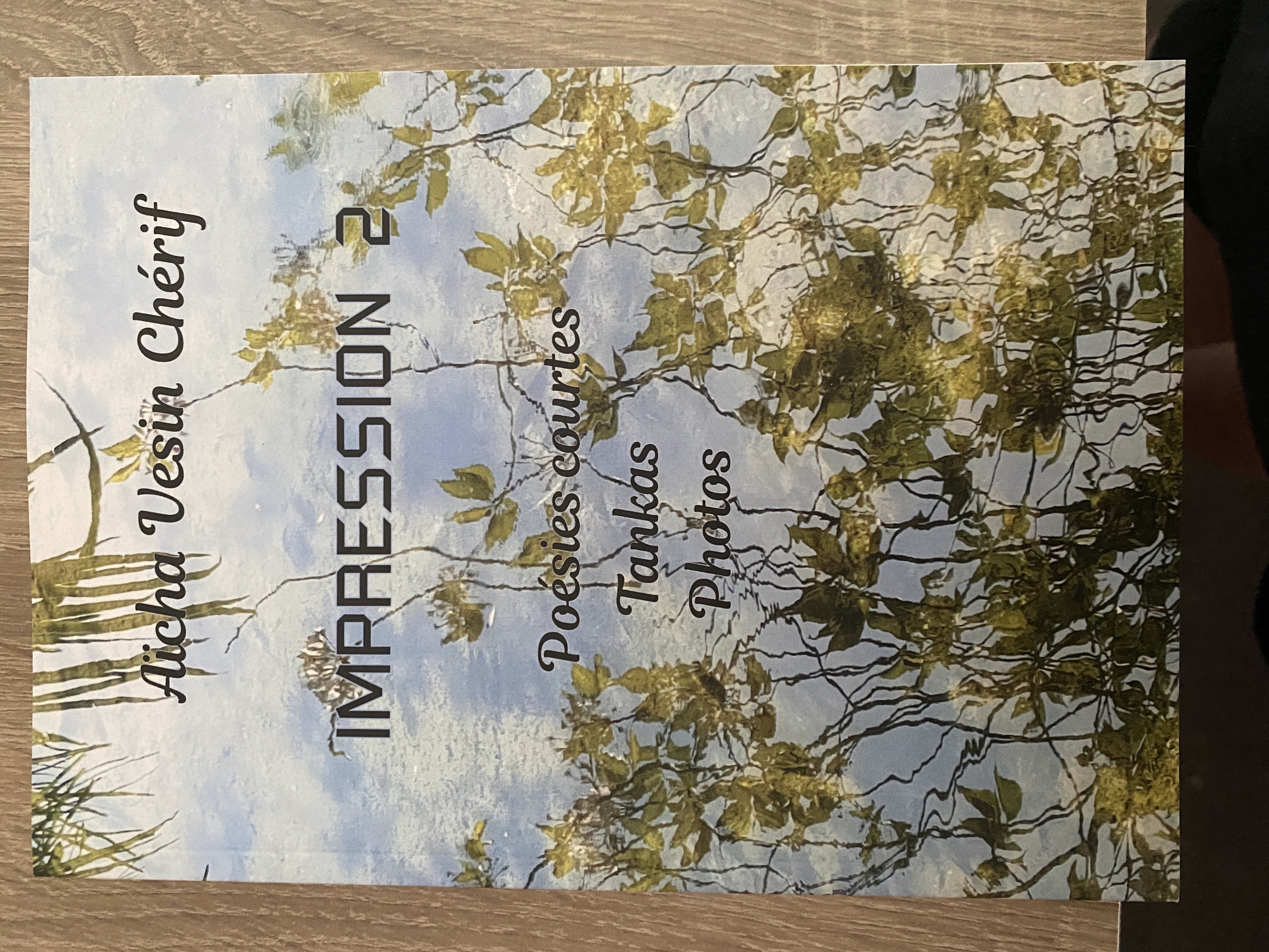 Impression 2 : poésies courtes, tanks, photos