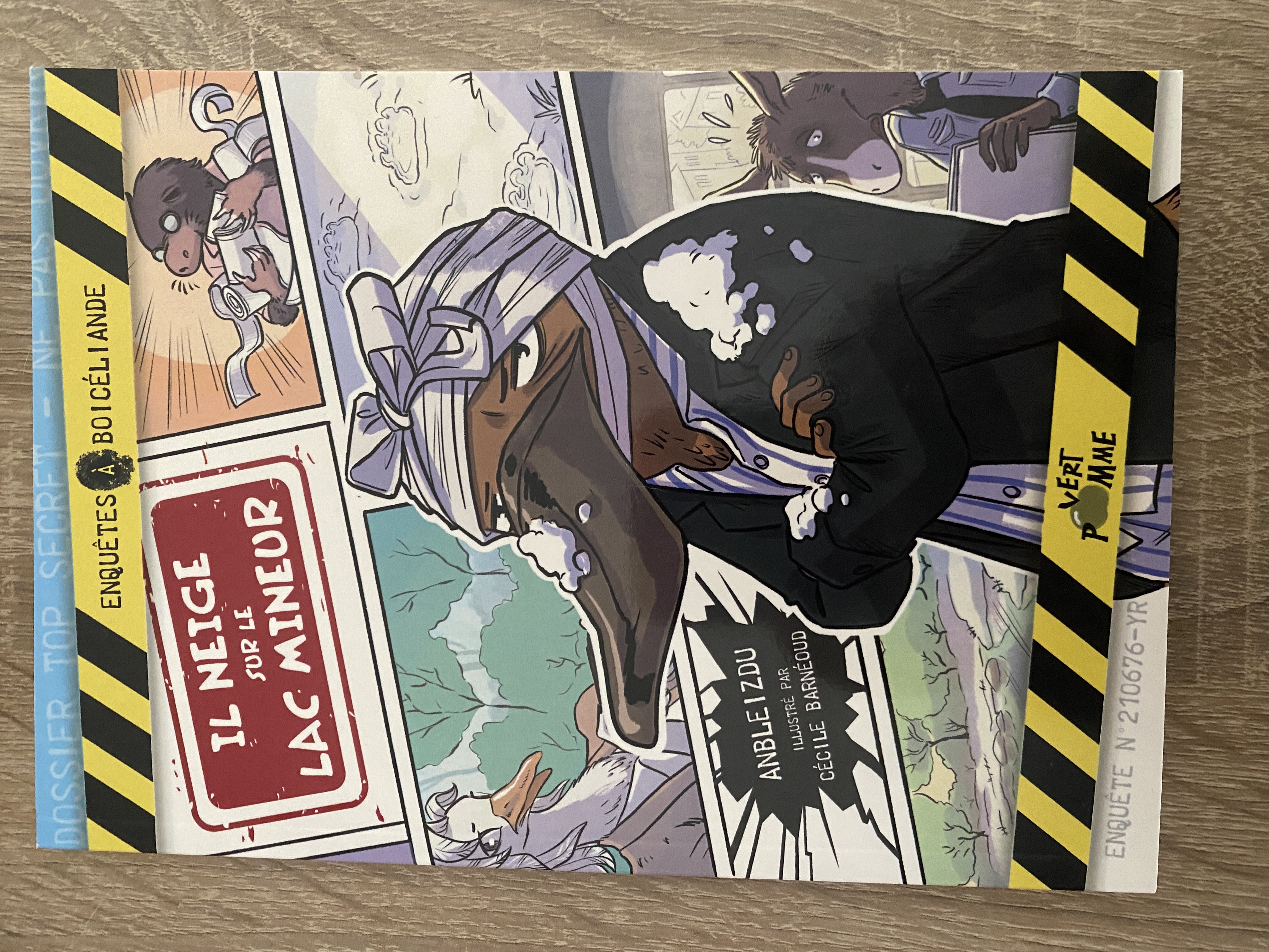 Il neige sur le lac mineur