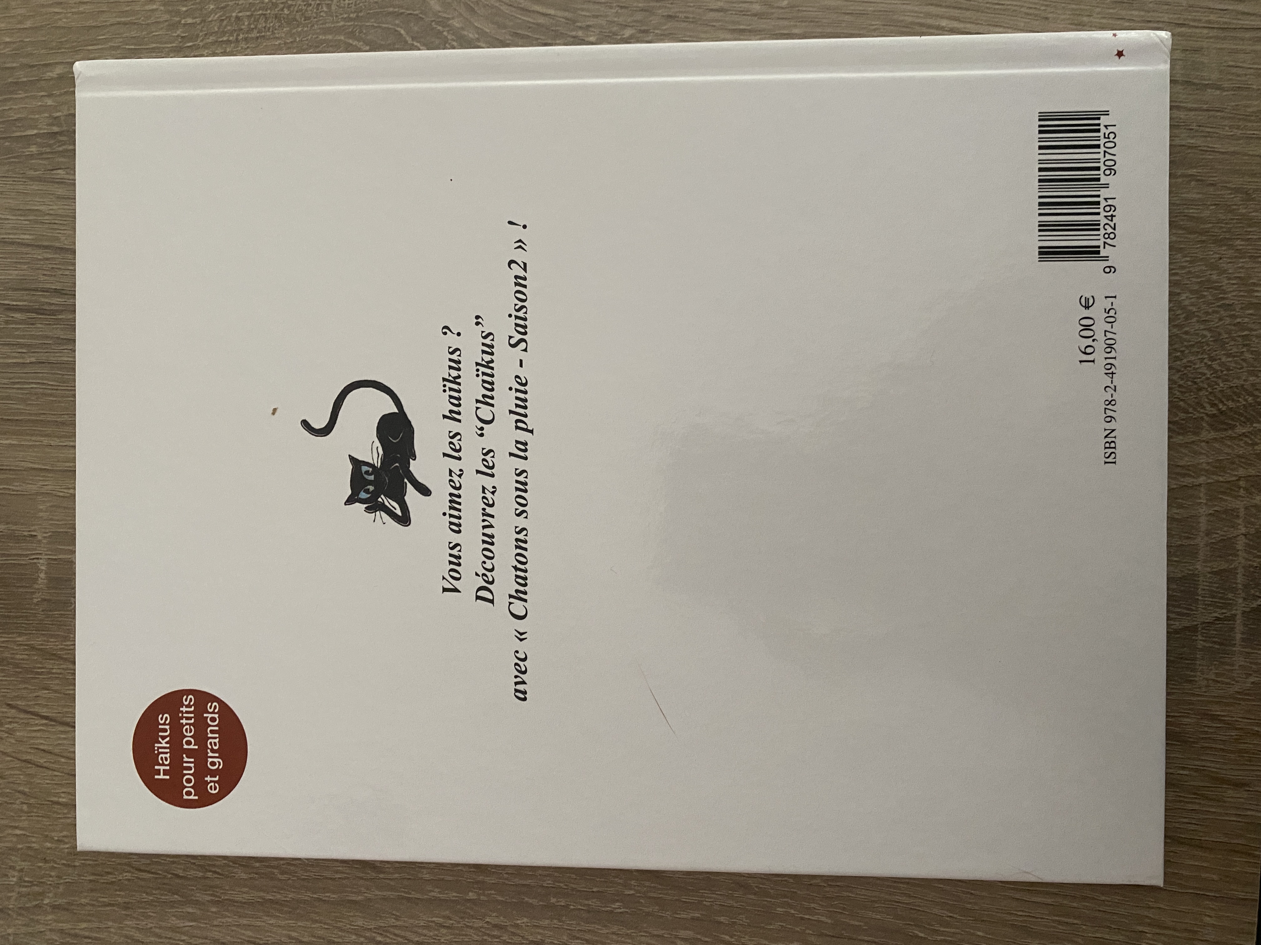 Chatons sous la pluie - Saison 2