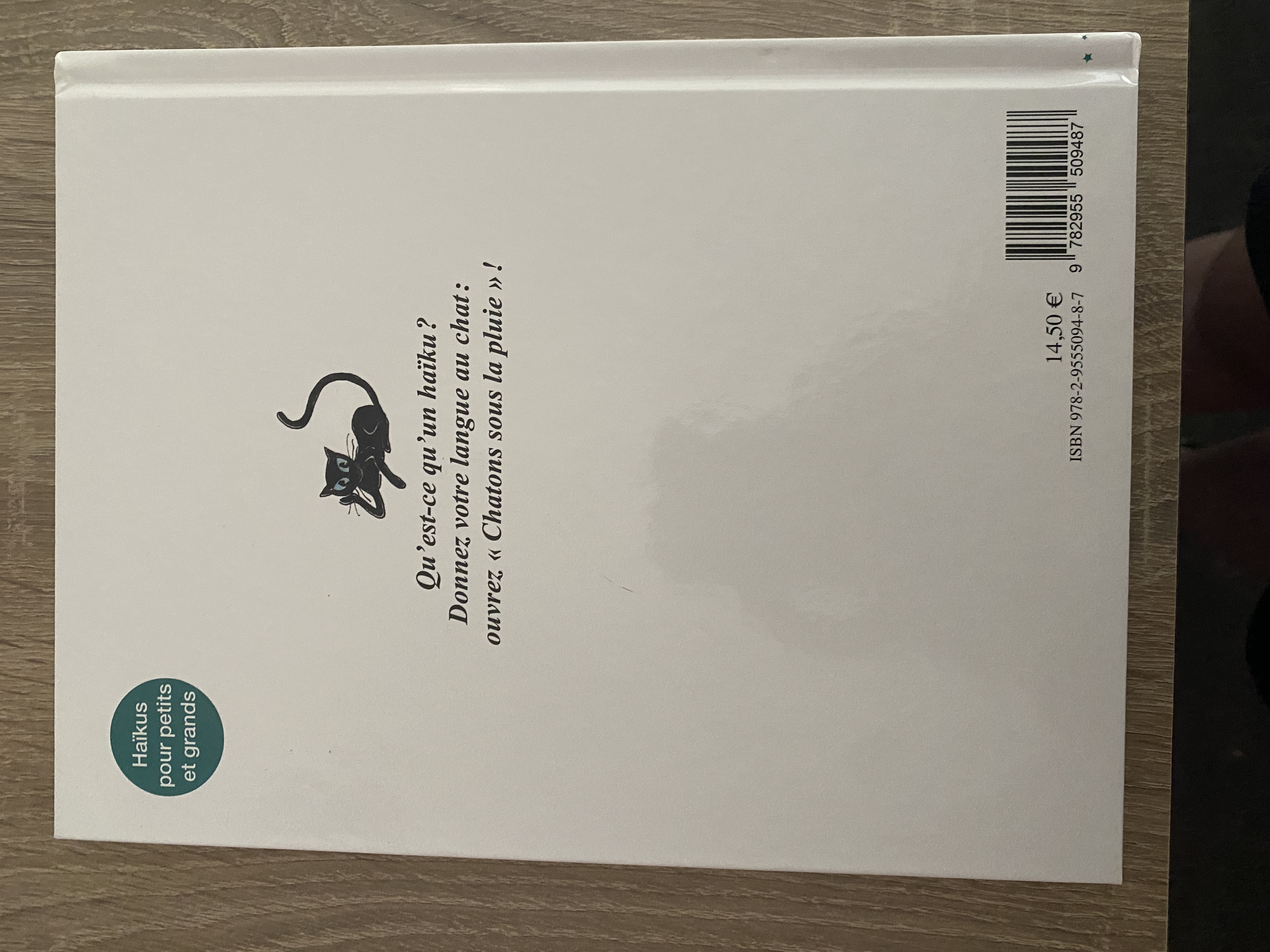 Chatons sous la pluie