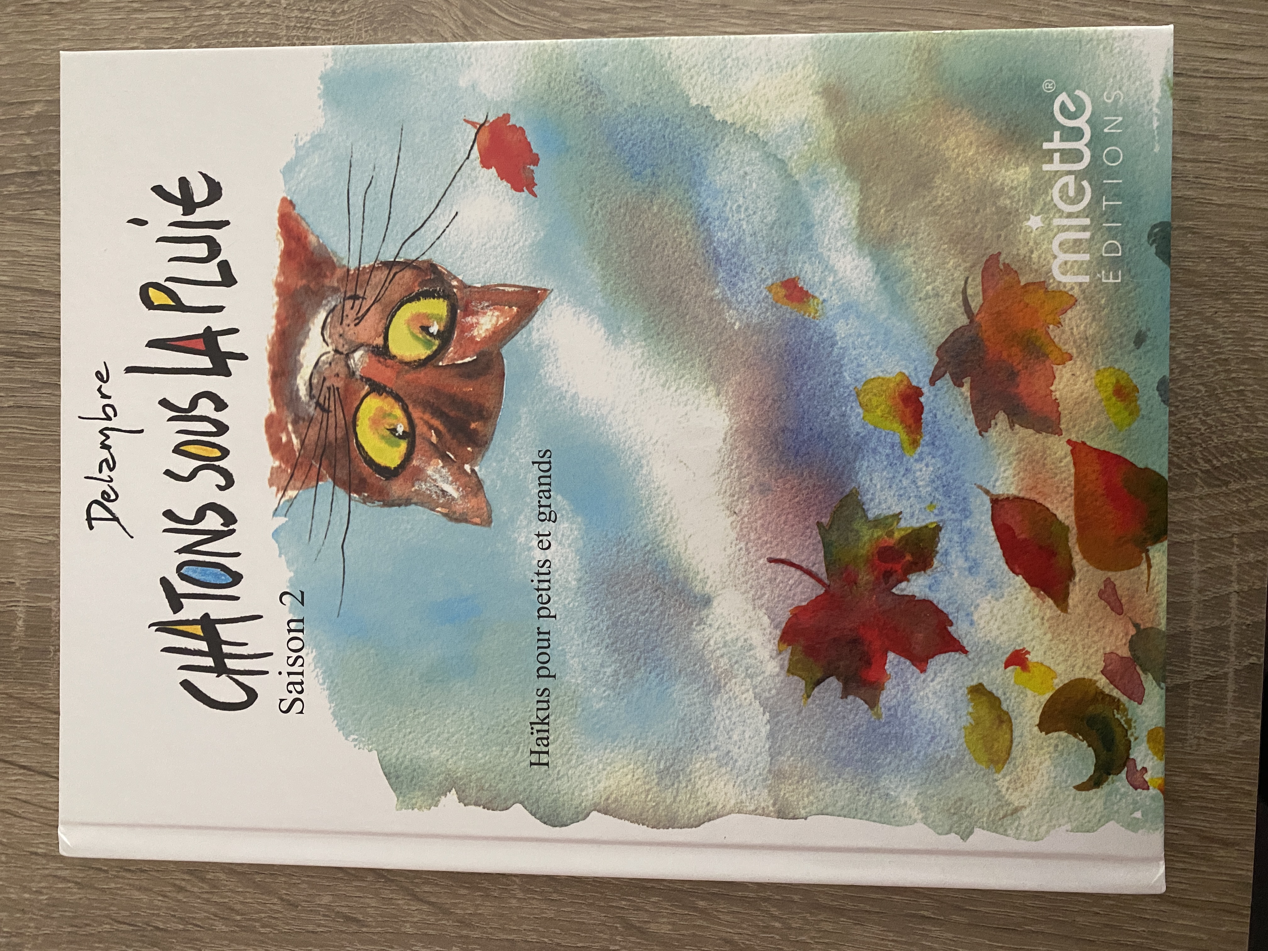 Chatons sous la pluie - Saison 2