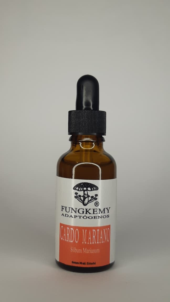 Cardo Mariano