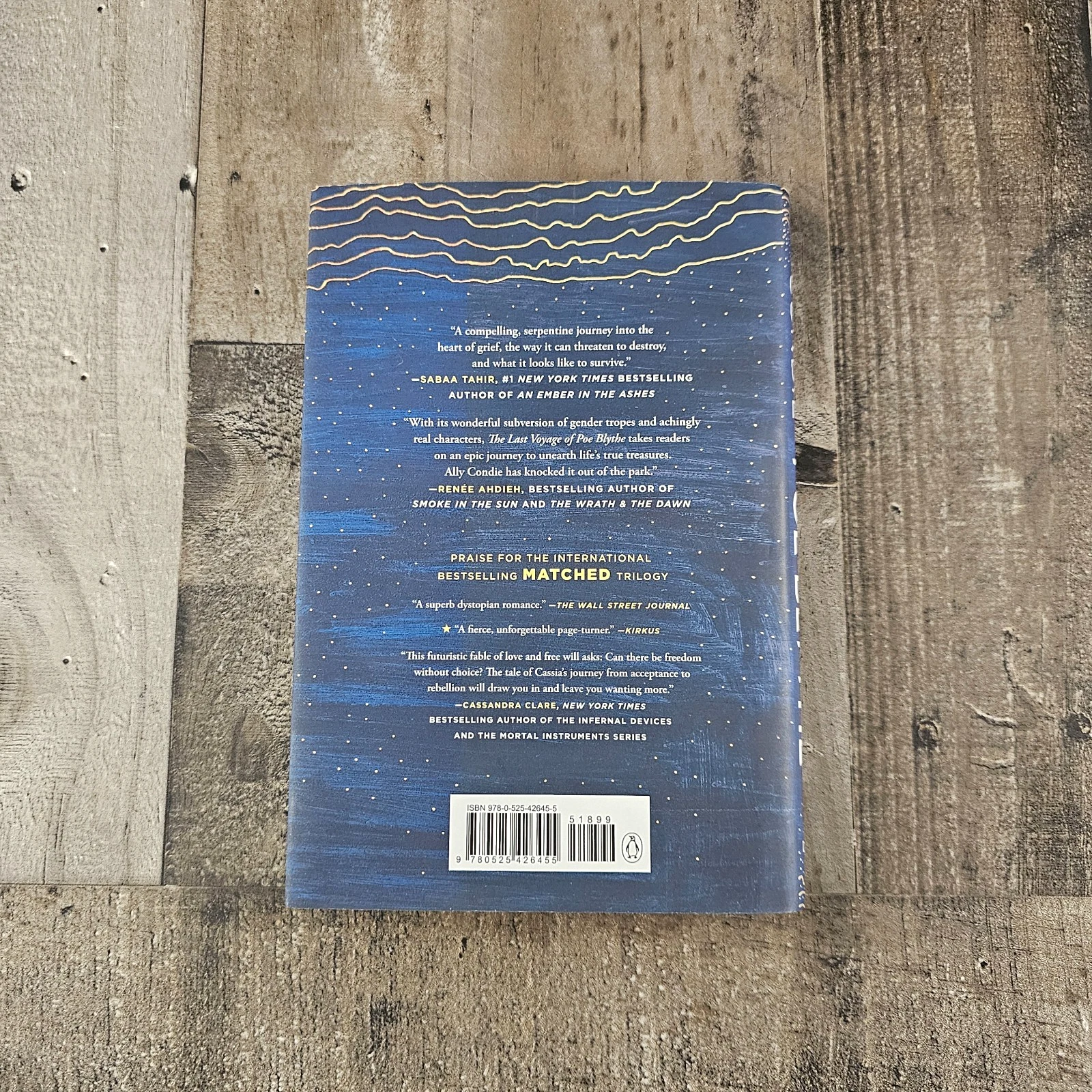 THE LAST VOYAGE OF POE BLYTHE BY ALLY CONDIE