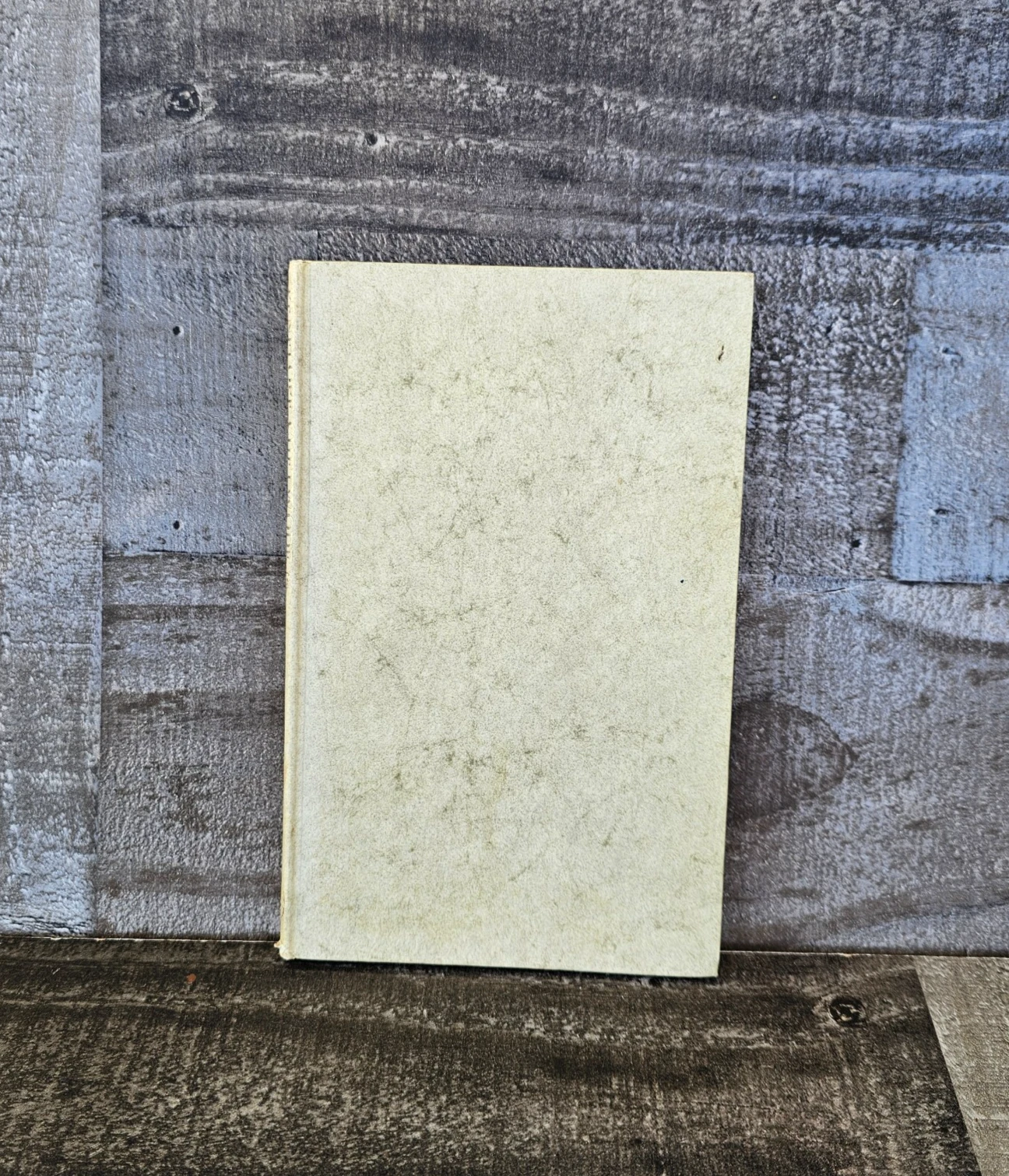 TWO MIDDLE AGED-LADIES IN ANDALUSIA BY PENELOPE CHETWODE